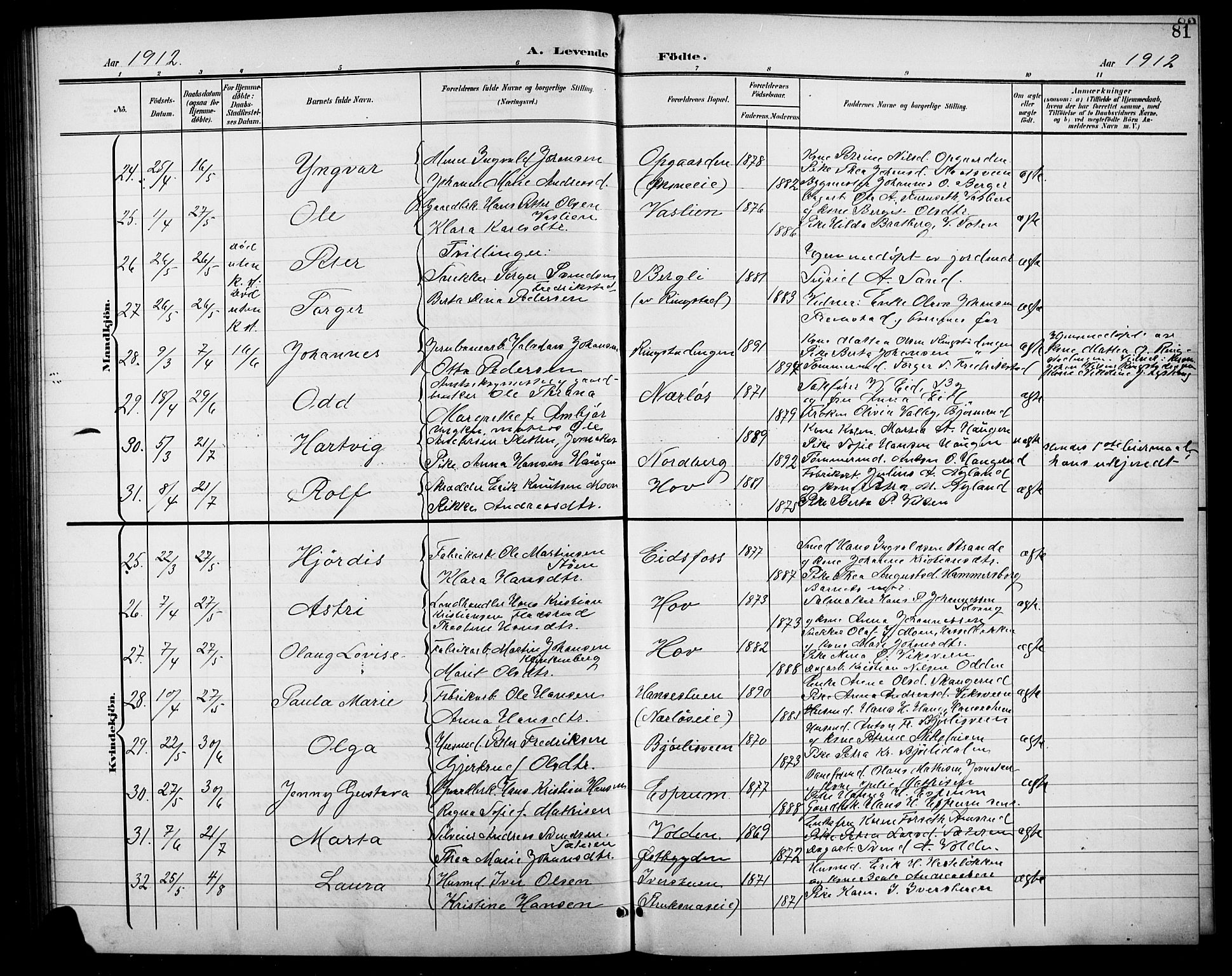 Søndre Land prestekontor, AV/SAH-PREST-122/L/L0004: Parish register (copy) no. 4, 1901-1915, p. 81