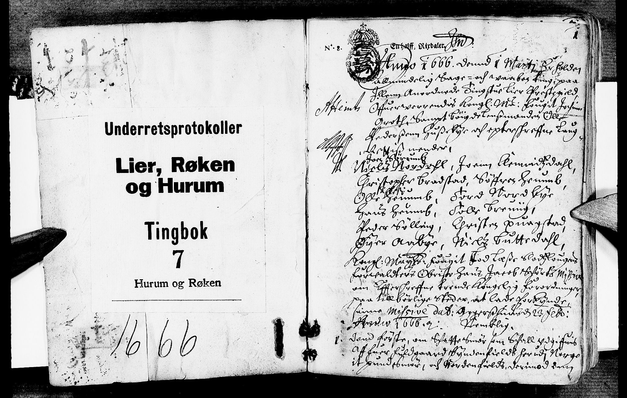 Lier, Røyken og Hurum sorenskriveri, AV/SAKO-A-89/F/Fa/L0007: Tingbok, 1666, p. 1