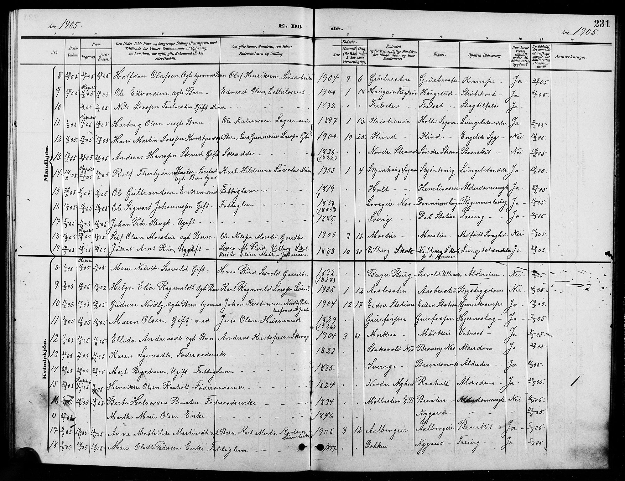 Eidsvoll prestekontor Kirkebøker, SAO/A-10888/G/Ga/L0007: Parish register (copy) no. I 7, 1901-1909, p. 231