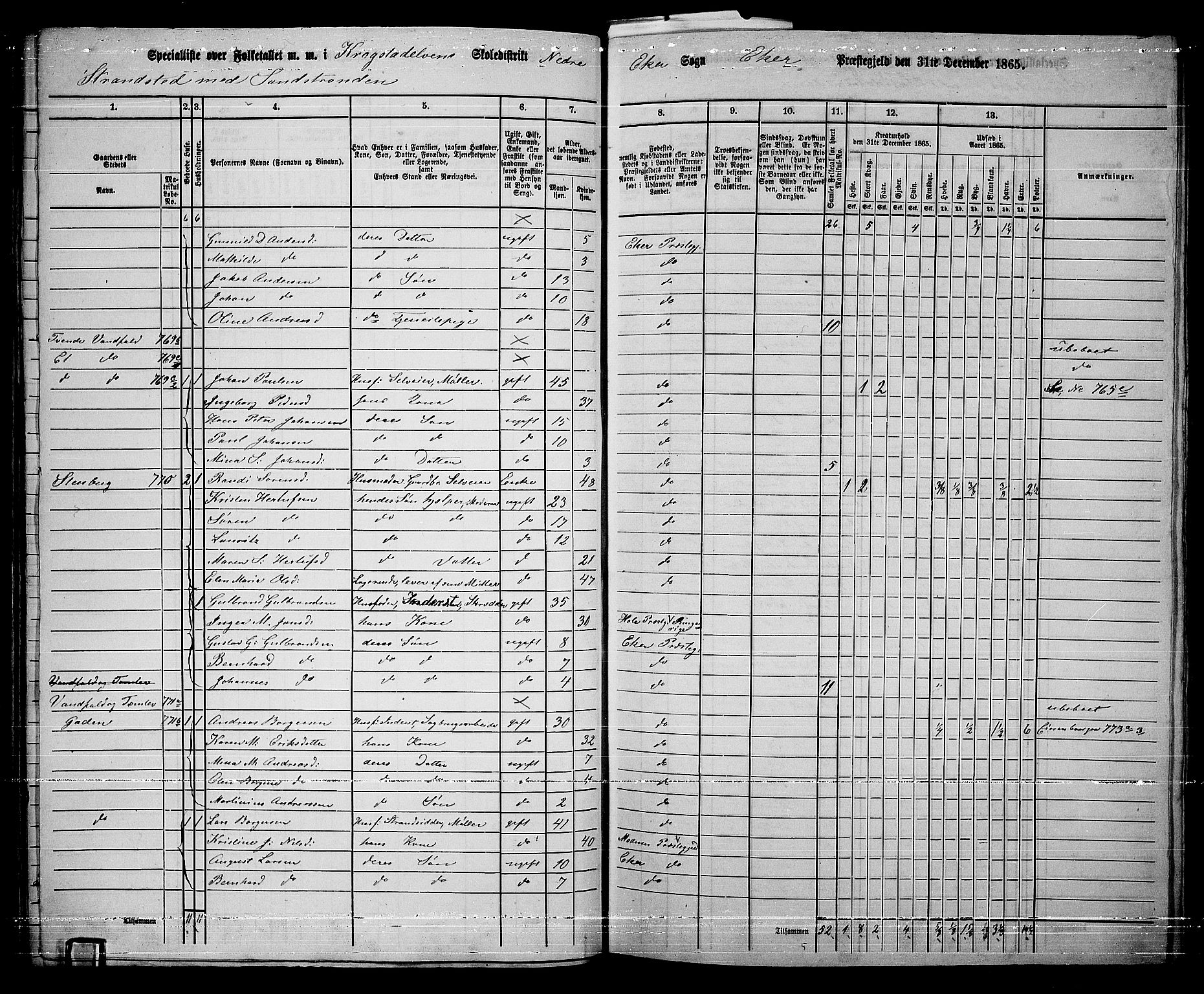 RA, 1865 census for Eiker, 1865, p. 368