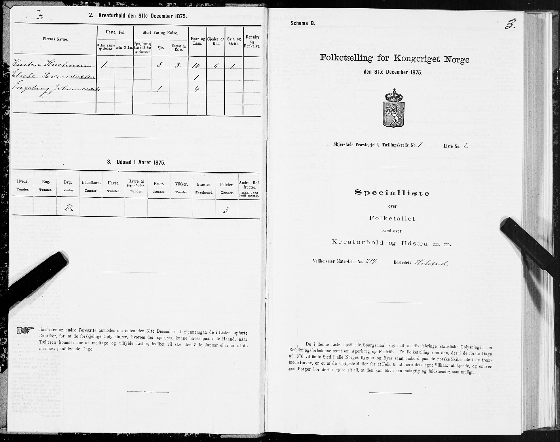 SAT, 1875 census for 1842P Skjerstad, 1875, p. 4003