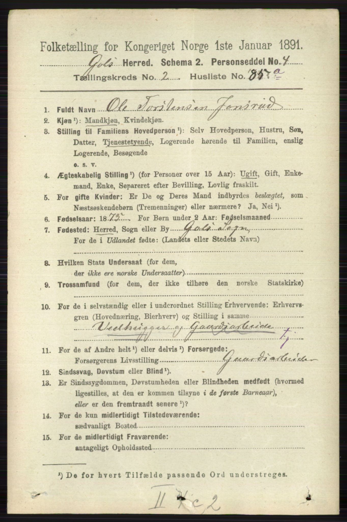 RA, 1891 census for 0617 Gol og Hemsedal, 1891, p. 1192