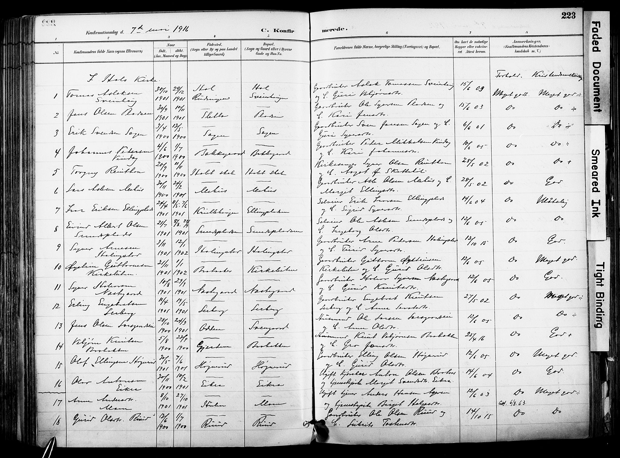 Hol kirkebøker, AV/SAKO-A-227/F/Fa/L0003: Parish register (official) no. I 3, 1887-1918, p. 223