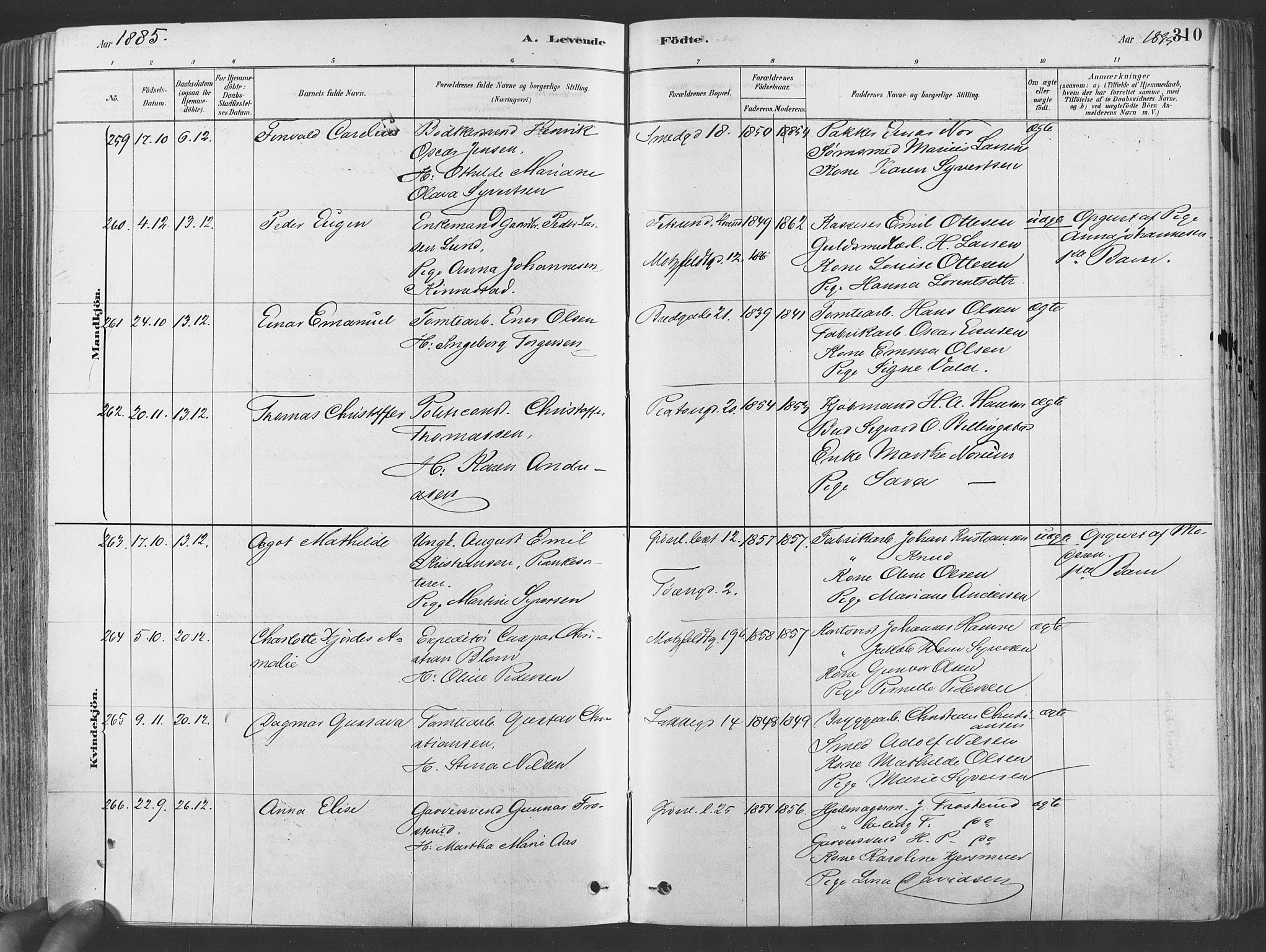 Grønland prestekontor Kirkebøker, AV/SAO-A-10848/F/Fa/L0007: Parish register (official) no. 7, 1878-1888, p. 310