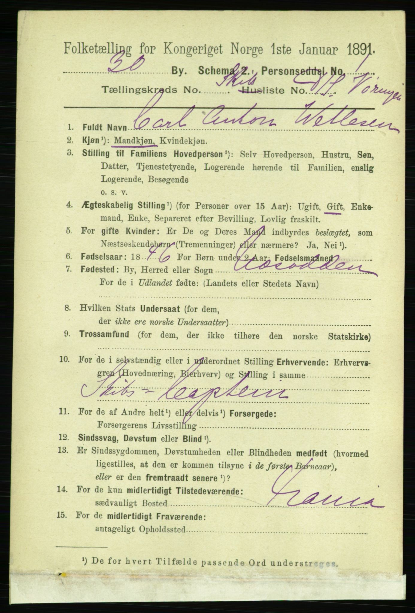 RA, 1891 census for 0806 Skien, 1891, p. 11503