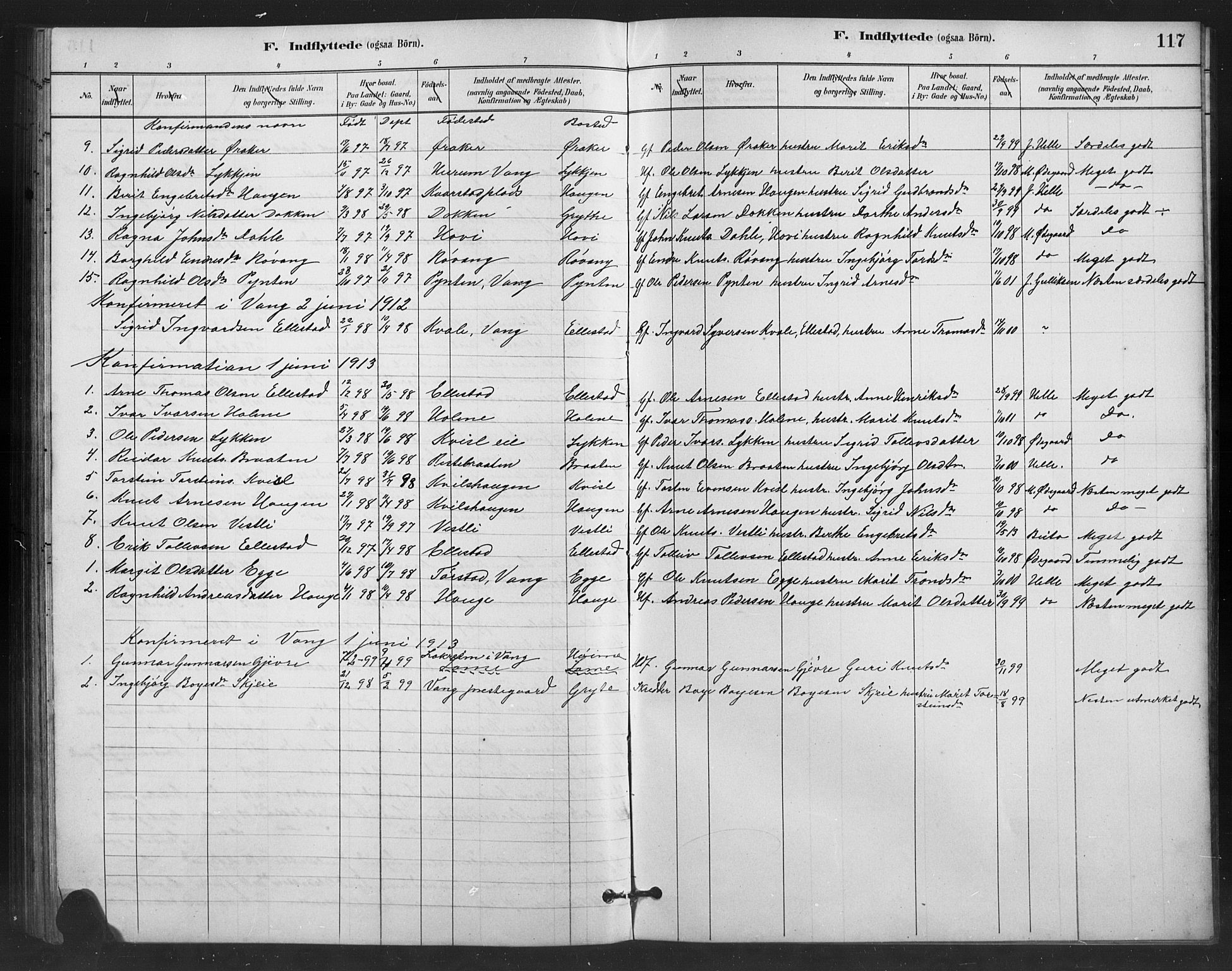 Vestre Slidre prestekontor, SAH/PREST-136/H/Ha/Hab/L0006: Parish register (copy) no. 6, 1881-1915, p. 117