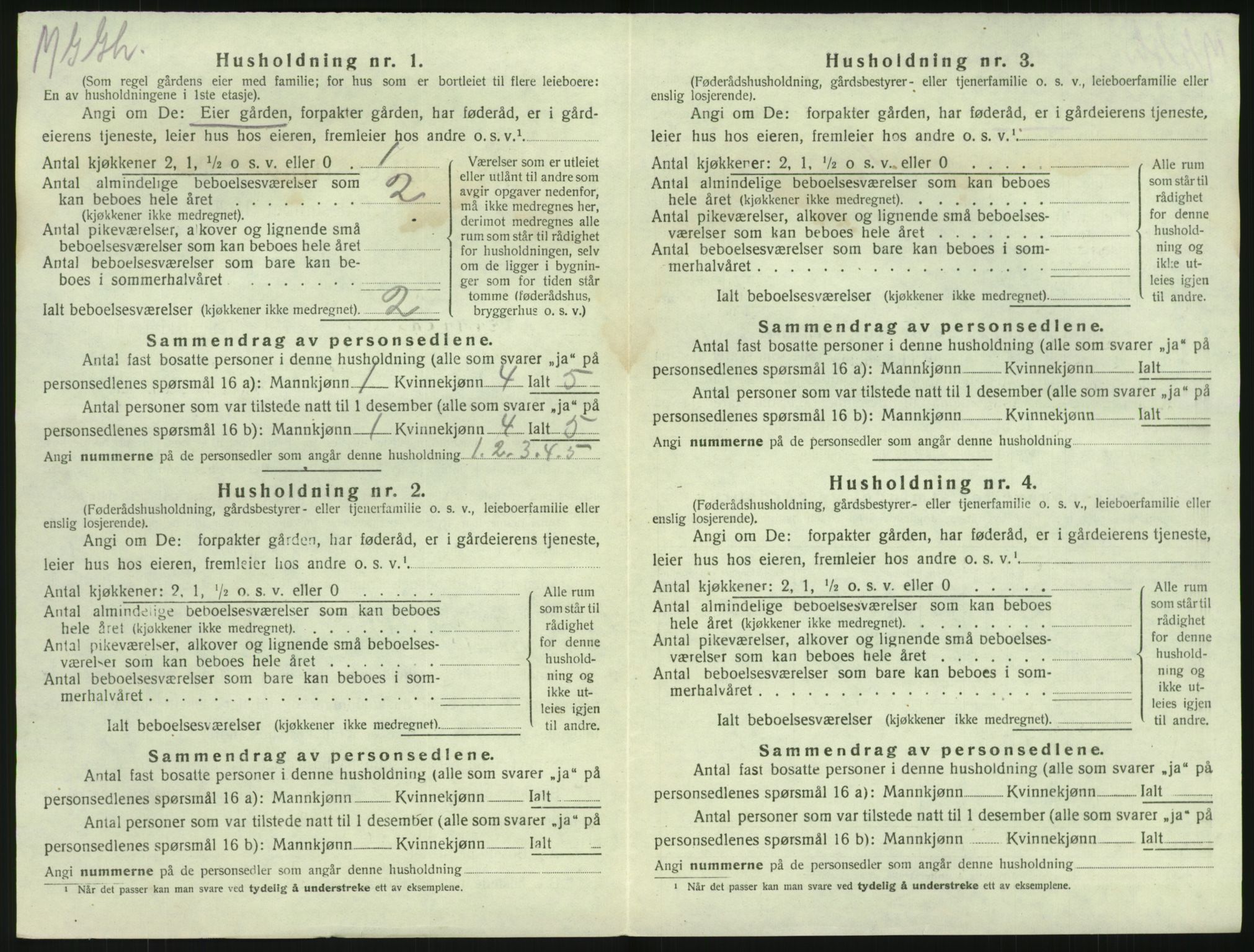 SAKO, 1920 census for Brunlanes, 1920, p. 960