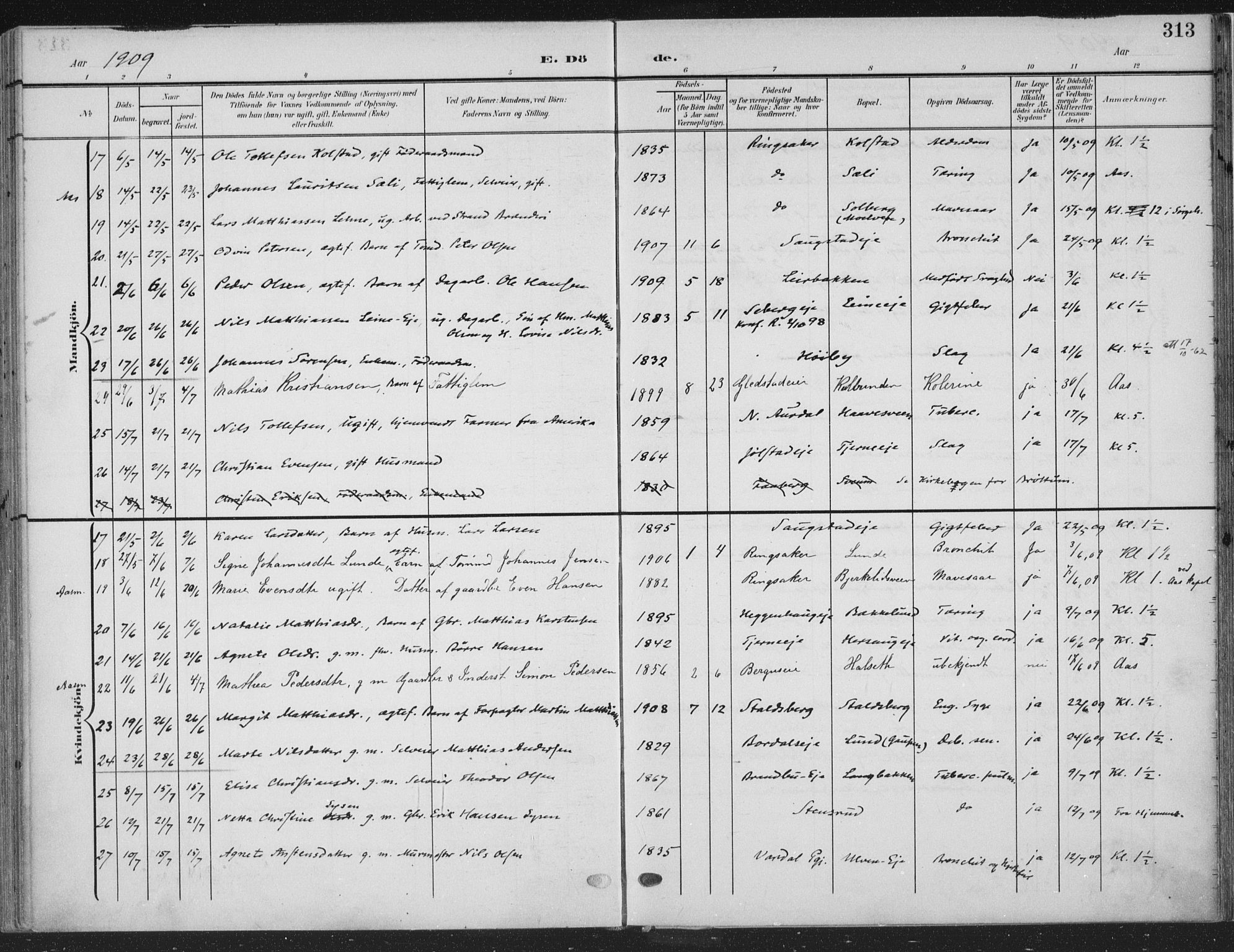 Ringsaker prestekontor, AV/SAH-PREST-014/K/Ka/L0018: Parish register (official) no. 18, 1903-1912, p. 313