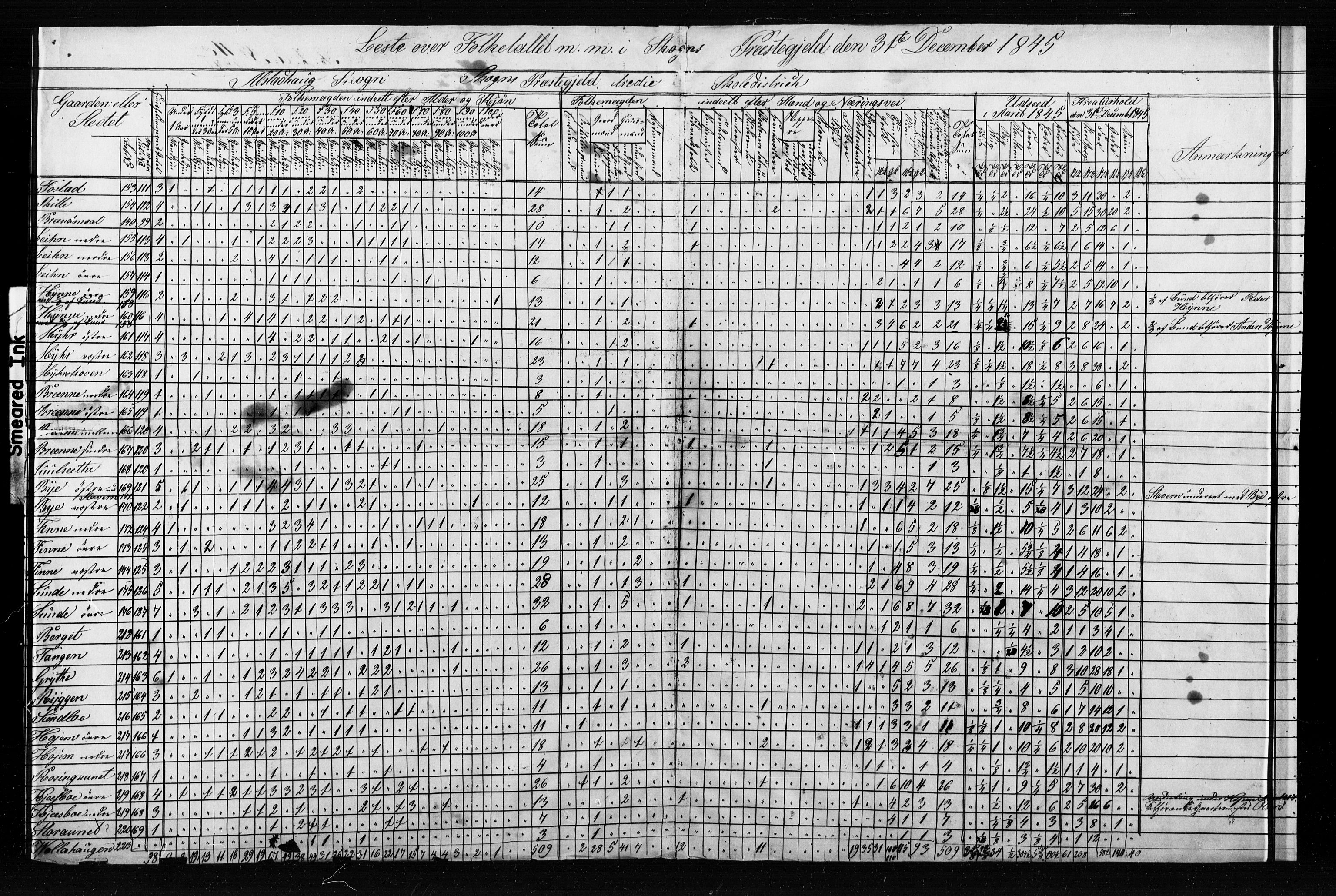 , Census 1845 for Skogn, 1845, p. 31