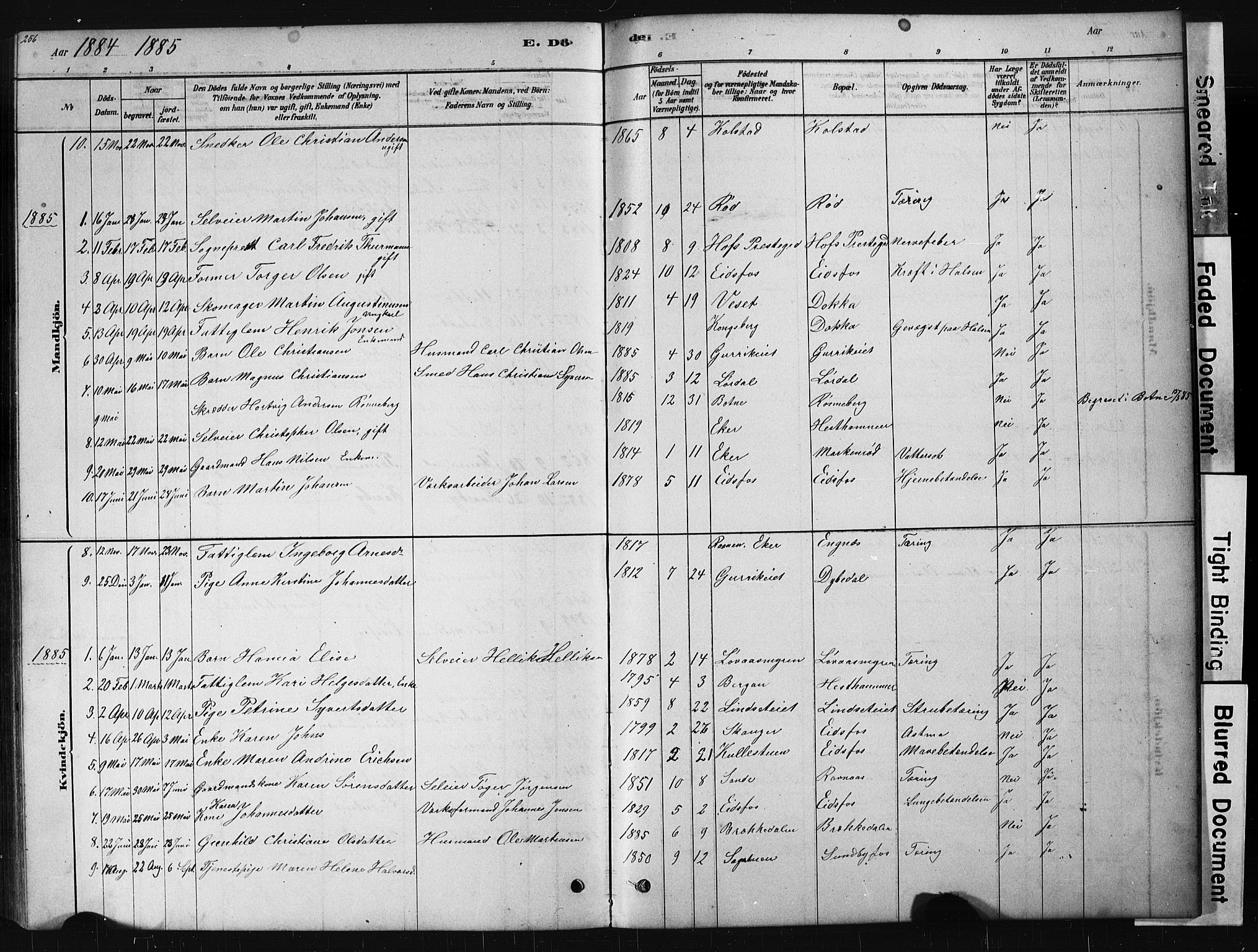 Hof kirkebøker, AV/SAKO-A-64/G/Ga/L0004: Parish register (copy) no. I 4, 1878-1930, p. 256