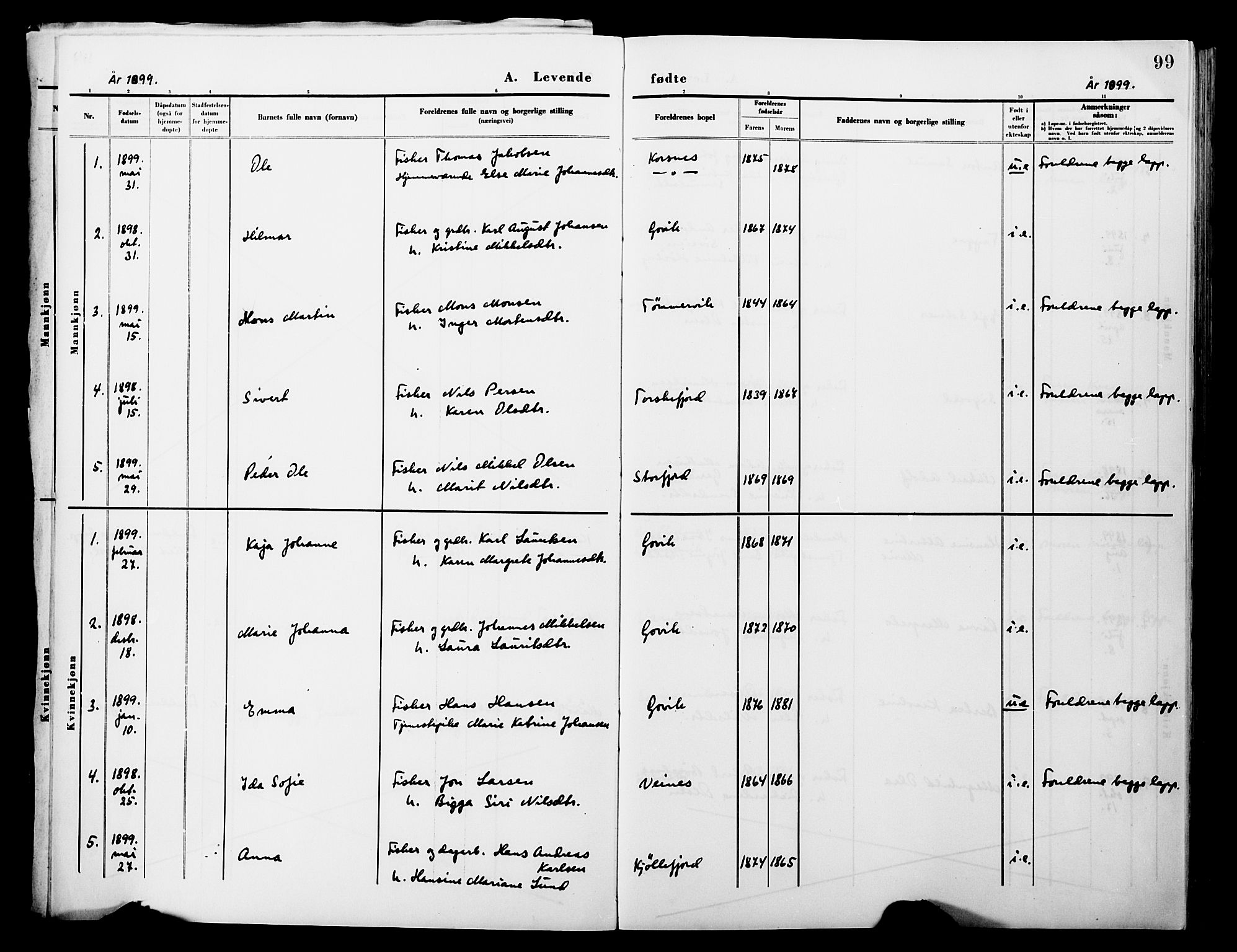 Lebesby sokneprestkontor, SATØ/S-1353/H/Ha/L0004kirke: Parish register (official) no. 4, 1870-1902, p. 99