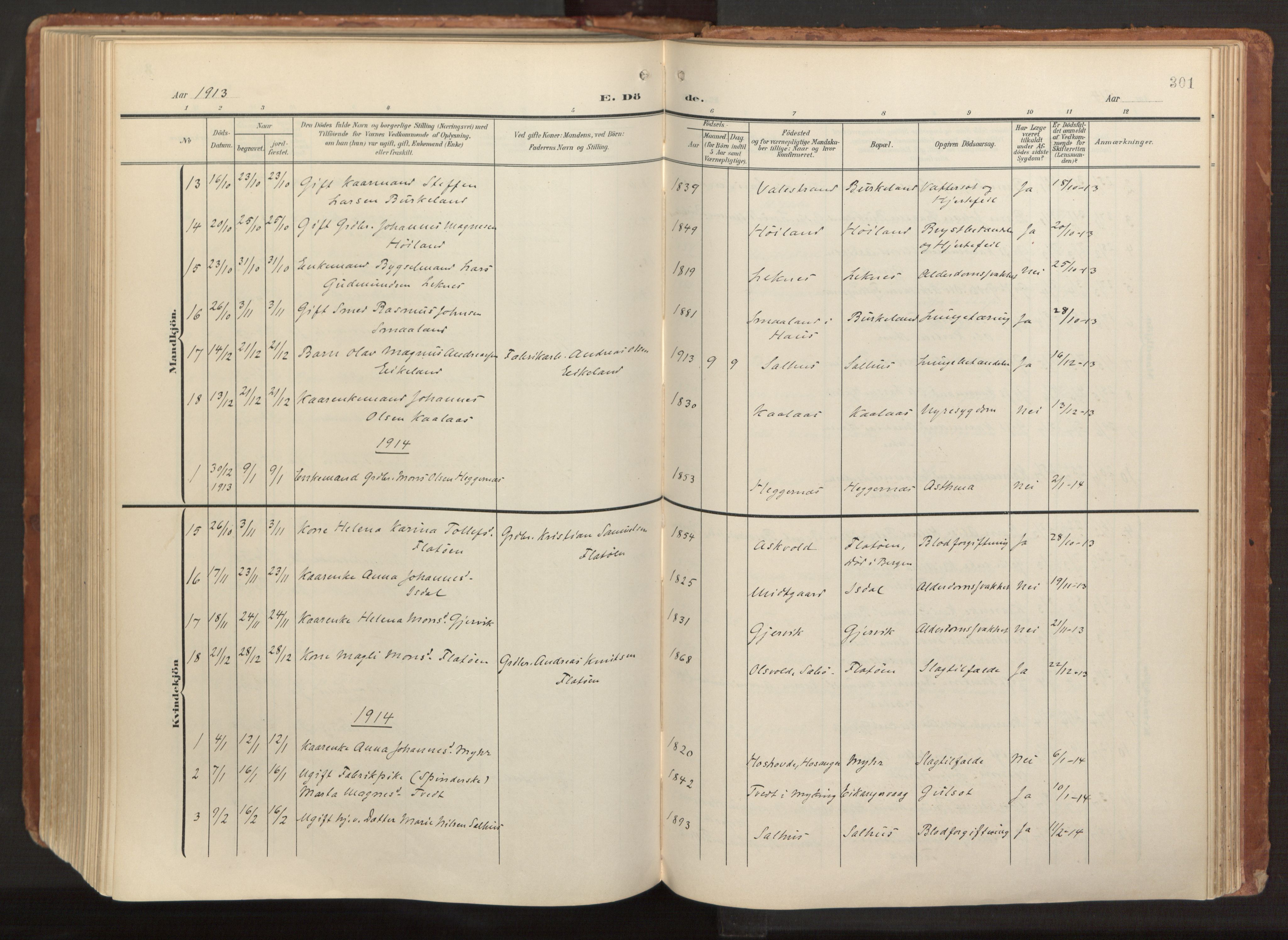 Hamre sokneprestembete, AV/SAB-A-75501/H/Ha/Haa/Haab/L0002: Parish register (official) no. B 2, 1905-1924, p. 301