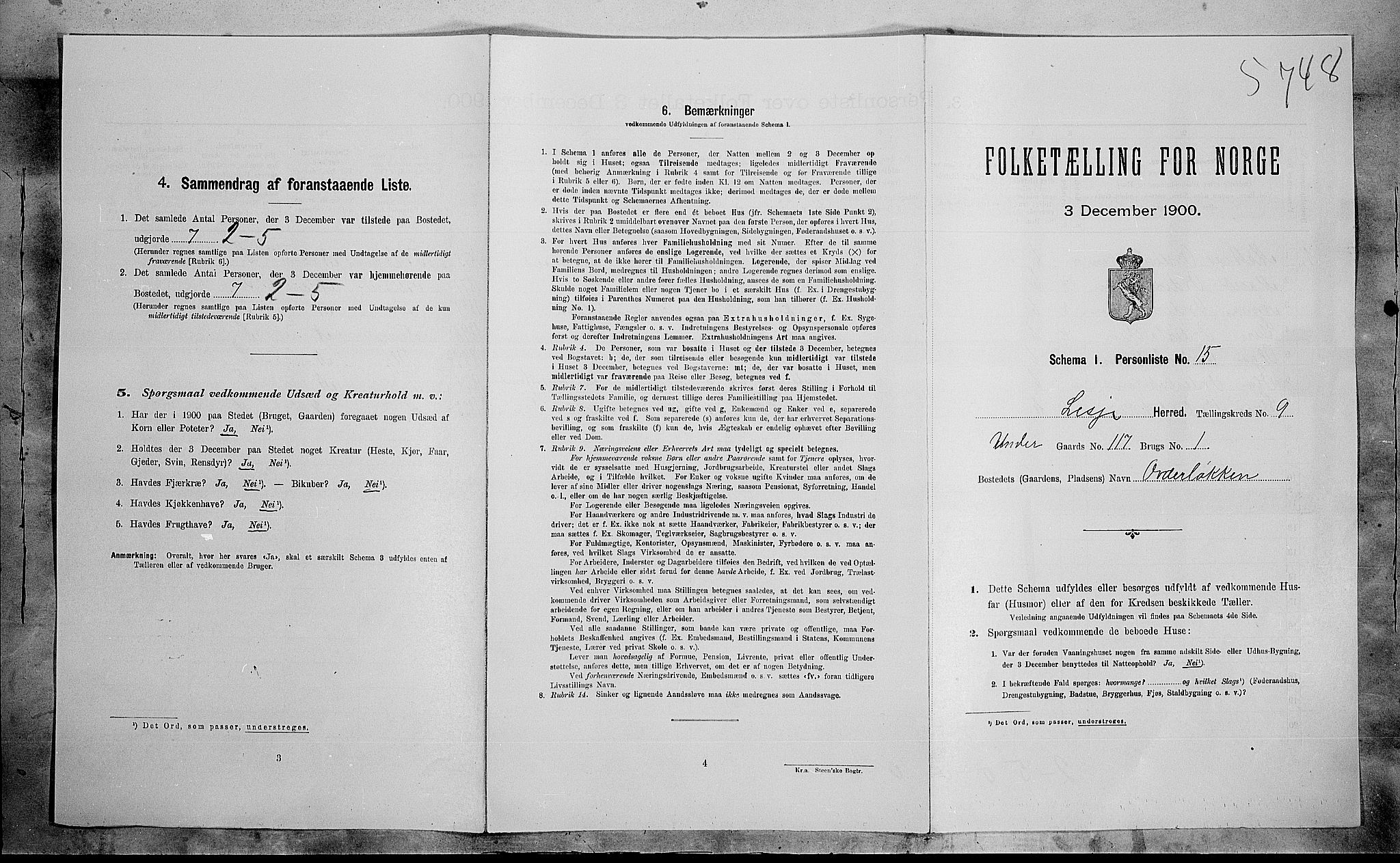 SAH, 1900 census for Lesja, 1900, p. 787