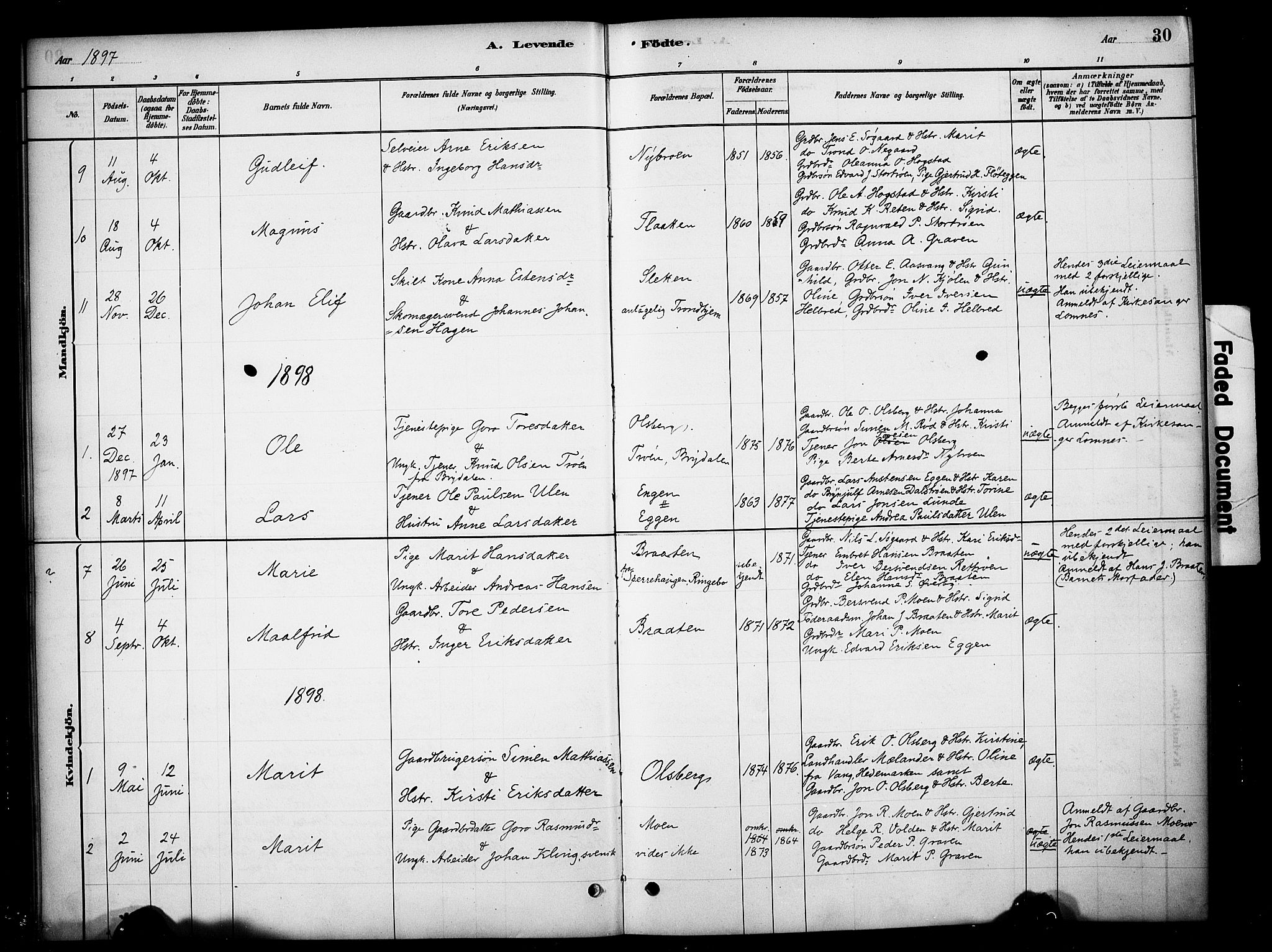 Tynset prestekontor, SAH/PREST-058/H/Ha/Haa/L0023: Parish register (official) no. 23, 1880-1901, p. 30