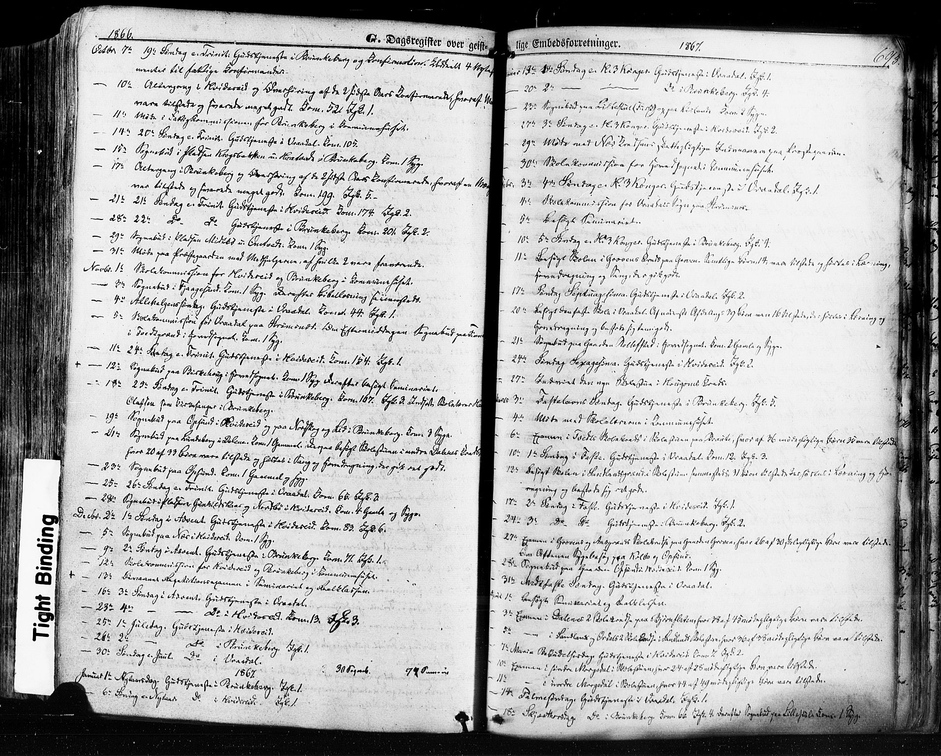 Kviteseid kirkebøker, SAKO/A-276/F/Fa/L0007: Parish register (official) no. I 7, 1859-1881, p. 693
