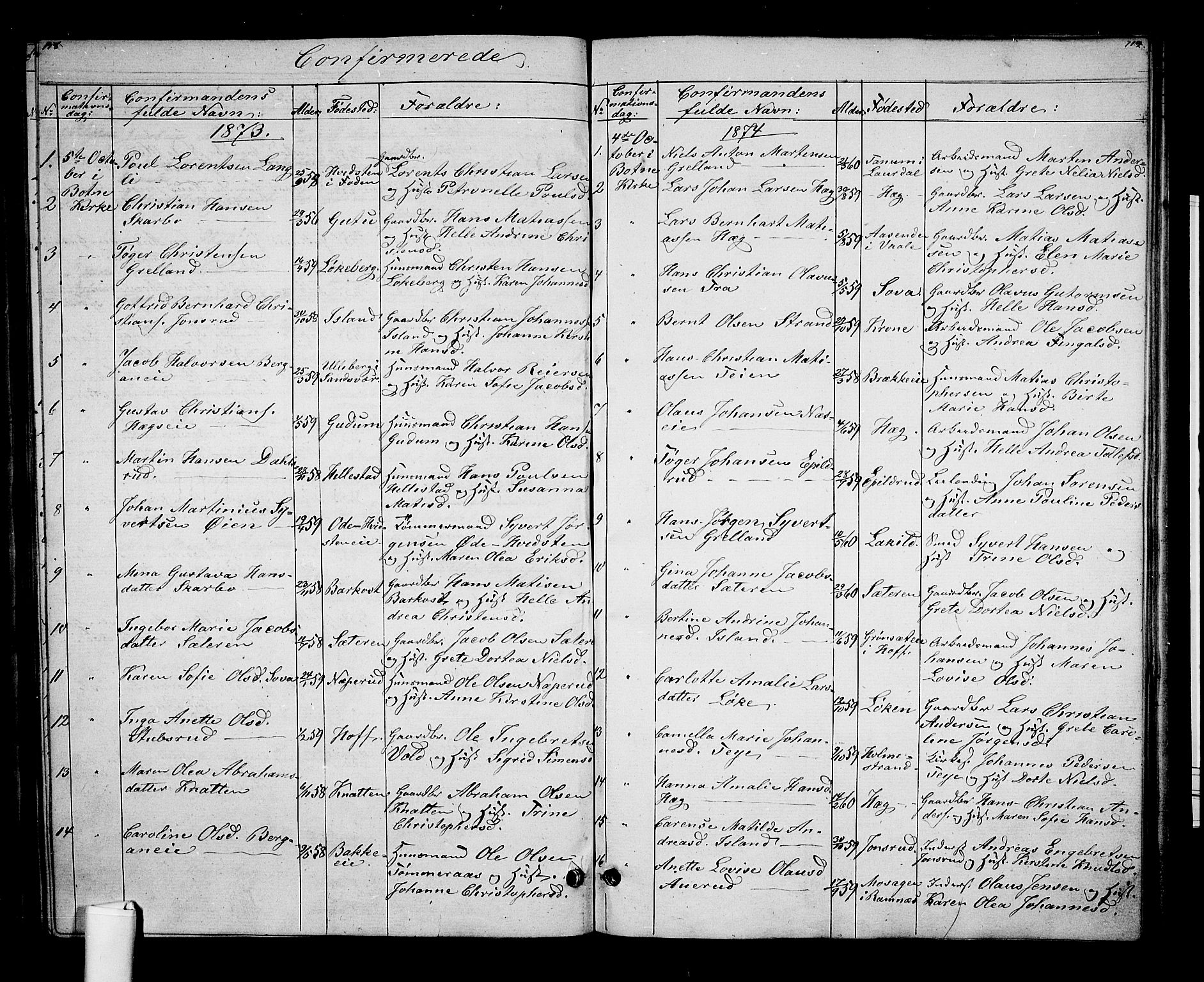 Botne kirkebøker, SAKO/A-340/G/Gb/L0002: Parish register (copy) no. II 2, 1861-1886, p. 118-119