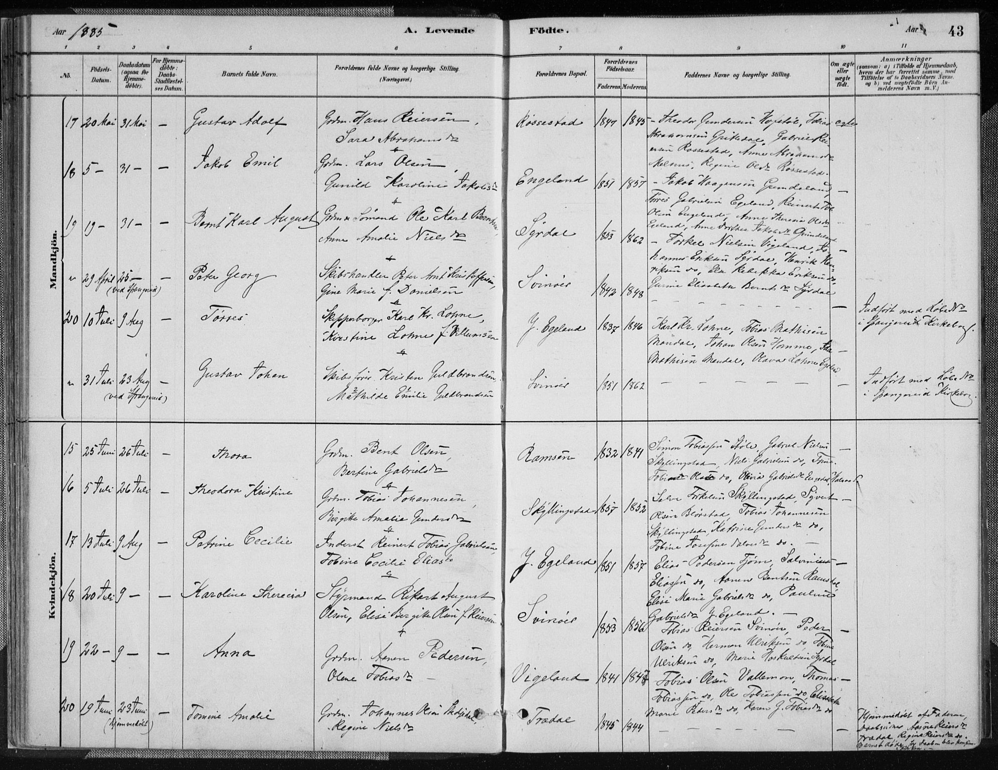 Sør-Audnedal sokneprestkontor, AV/SAK-1111-0039/F/Fa/Fab/L0009: Parish register (official) no. A 9, 1880-1895, p. 43