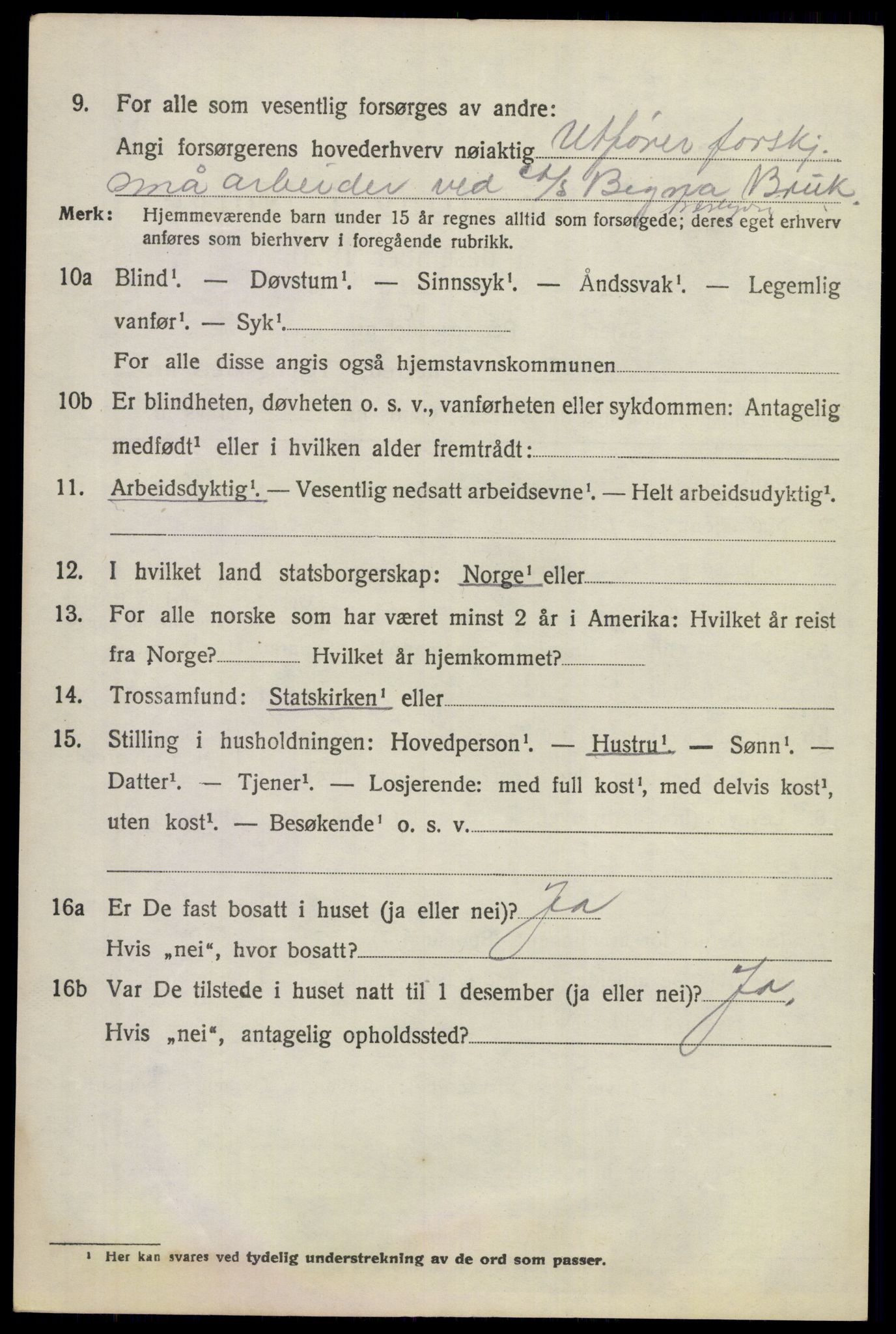 SAKO, 1920 census for Norderhov, 1920, p. 10690