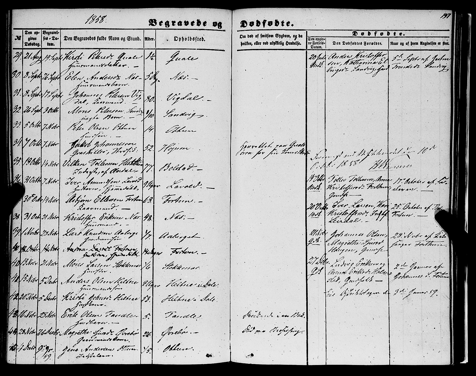 Luster sokneprestembete, AV/SAB-A-81101/H/Haa/Haaa/L0007: Parish register (official) no. A 7, 1849-1859, p. 197