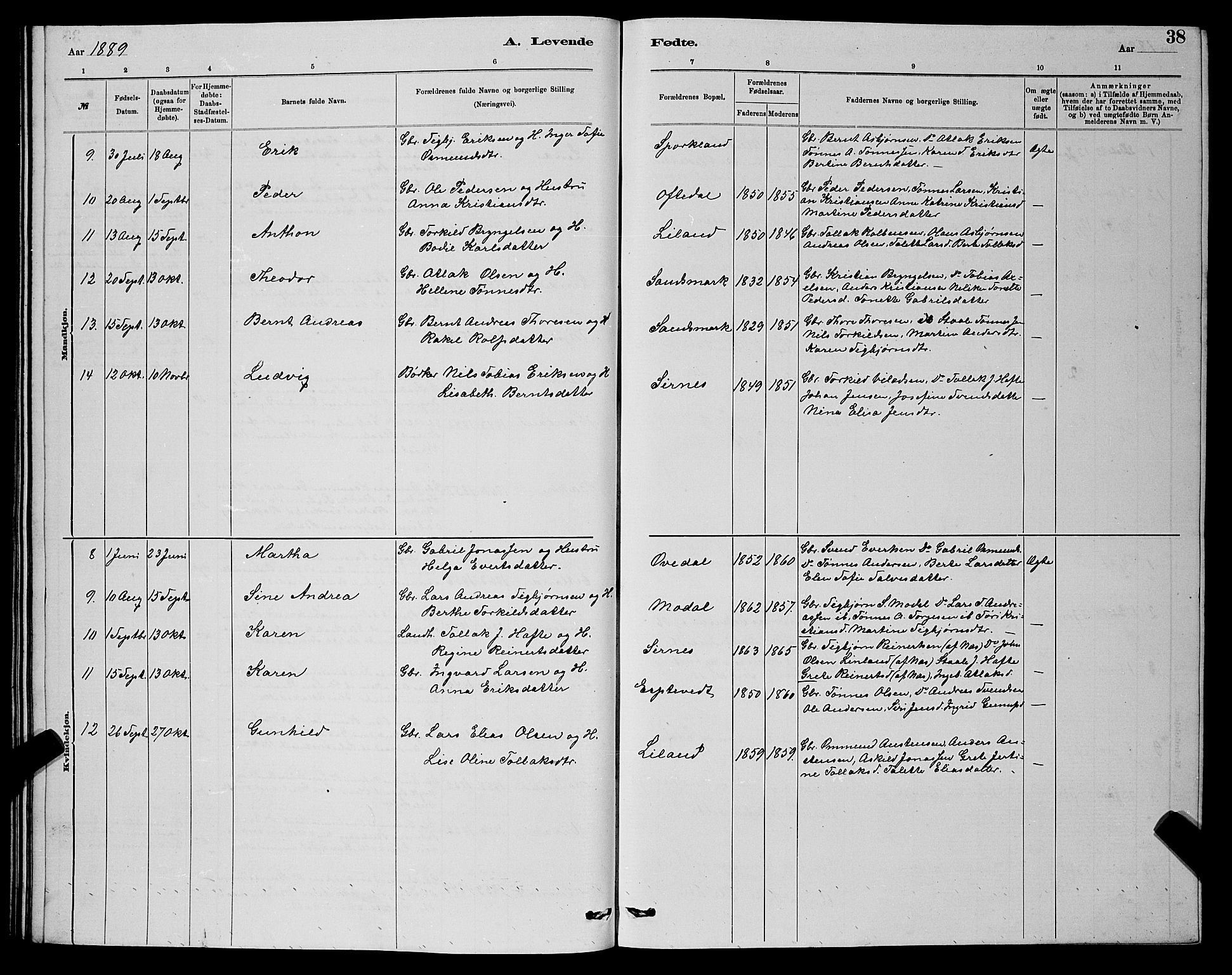 Bakke sokneprestkontor, AV/SAK-1111-0002/F/Fb/Fba/L0002: Parish register (copy) no. B 2, 1879-1893, p. 38