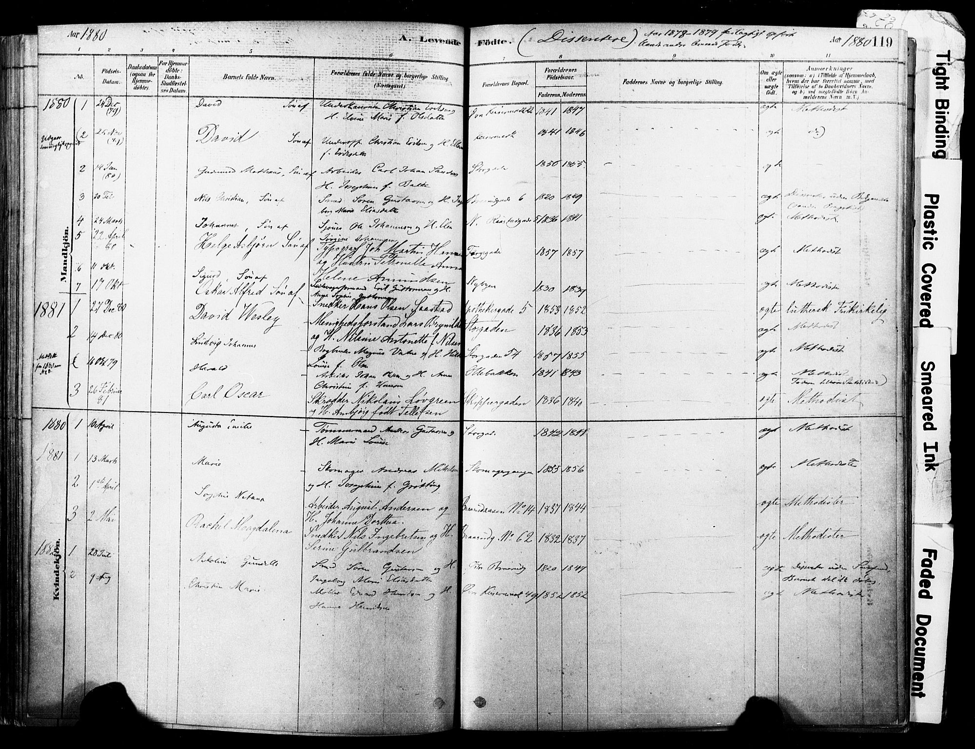 Horten kirkebøker, AV/SAKO-A-348/F/Fa/L0003: Parish register (official) no. 3, 1878-1887, p. 119