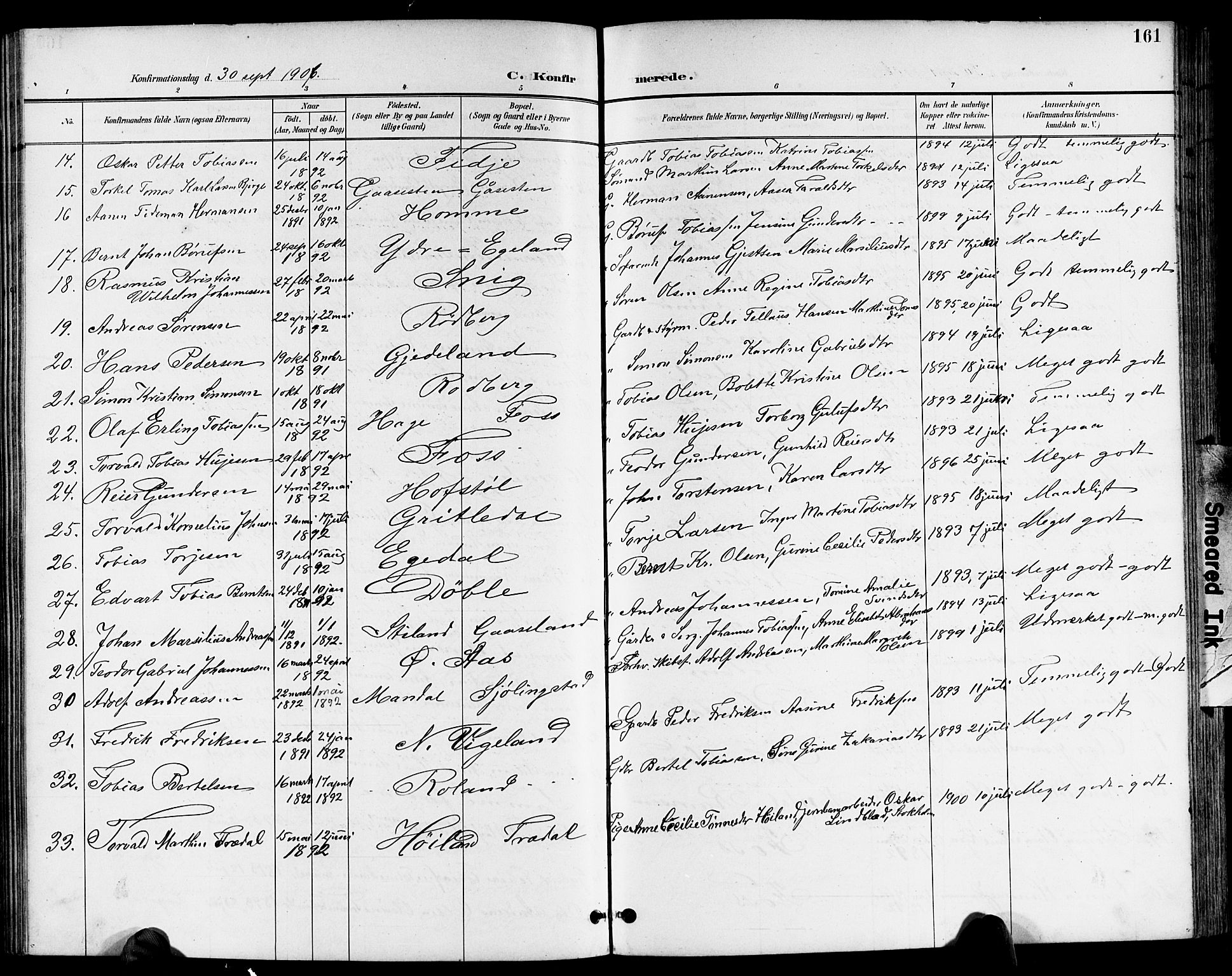 Sør-Audnedal sokneprestkontor, AV/SAK-1111-0039/F/Fb/Fbb/L0006: Parish register (copy) no. B 6, 1893-1915, p. 161