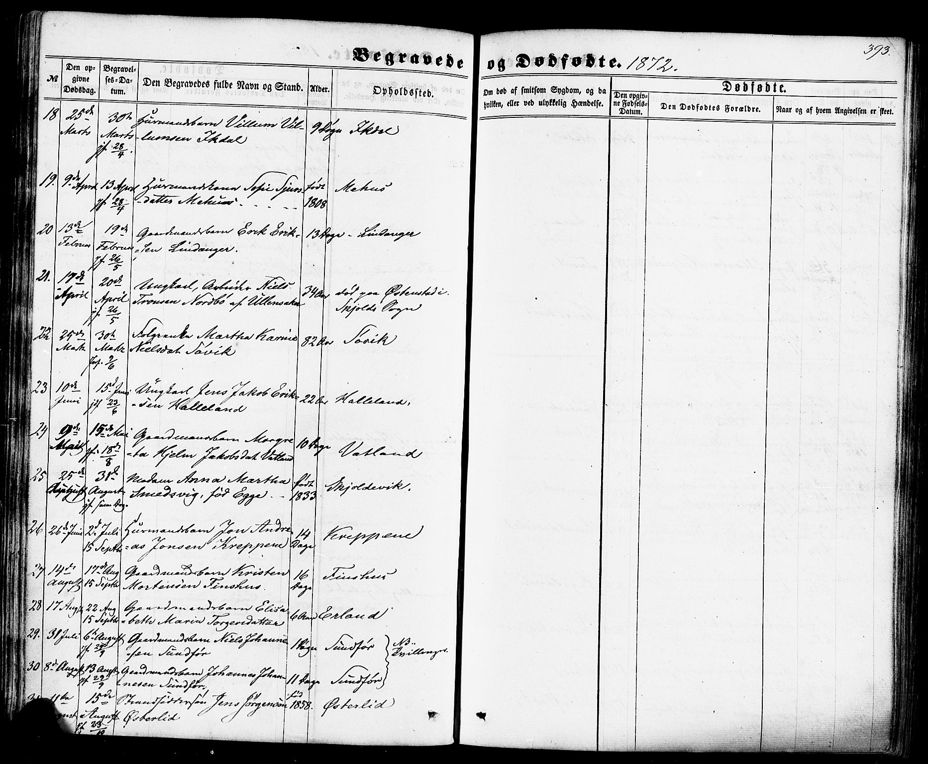 Skjold sokneprestkontor, AV/SAST-A-101847/H/Ha/Haa/L0008: Parish register (official) no. A 8, 1856-1882, p. 393