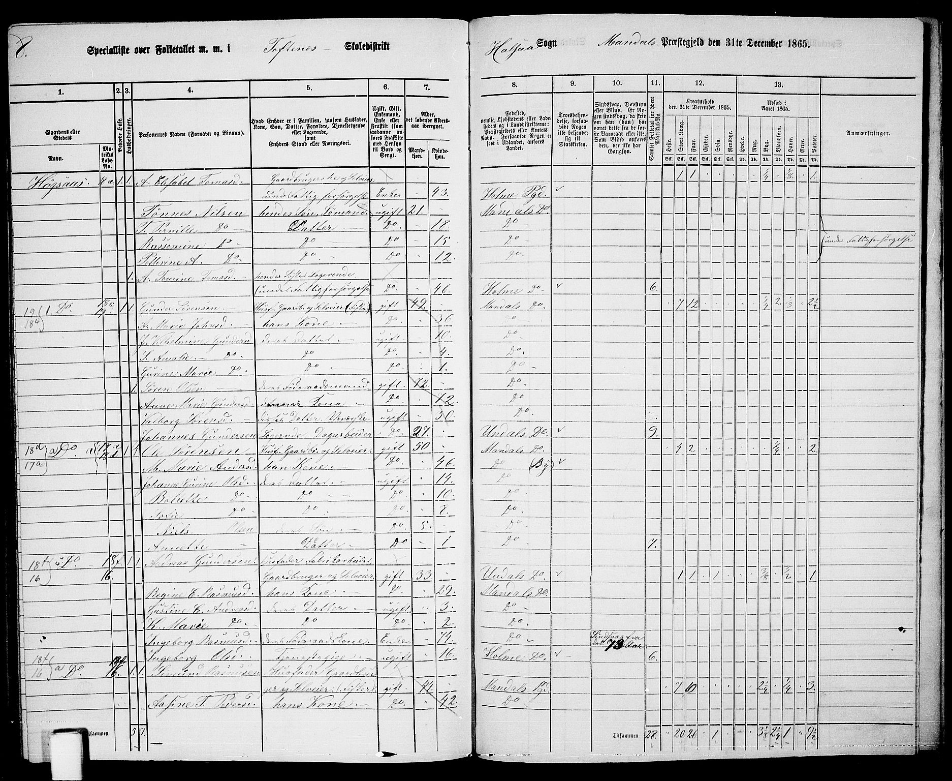 RA, 1865 census for Mandal/Halse og Harkmark, 1865, p. 117