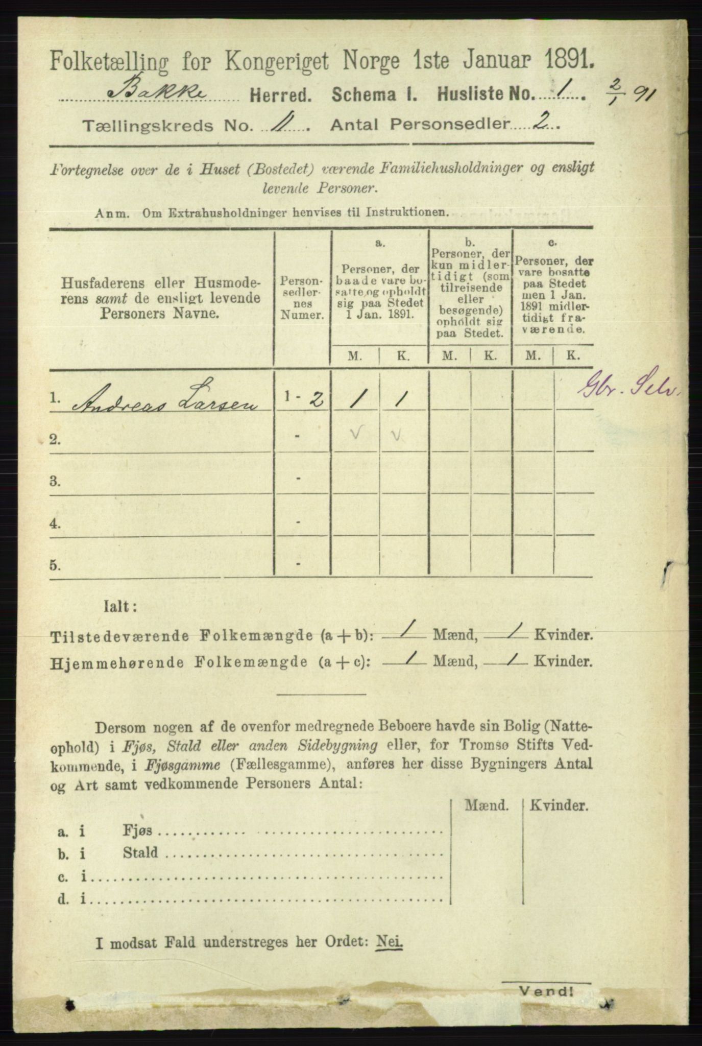 RA, 1891 census for 1045 Bakke, 1891, p. 2203