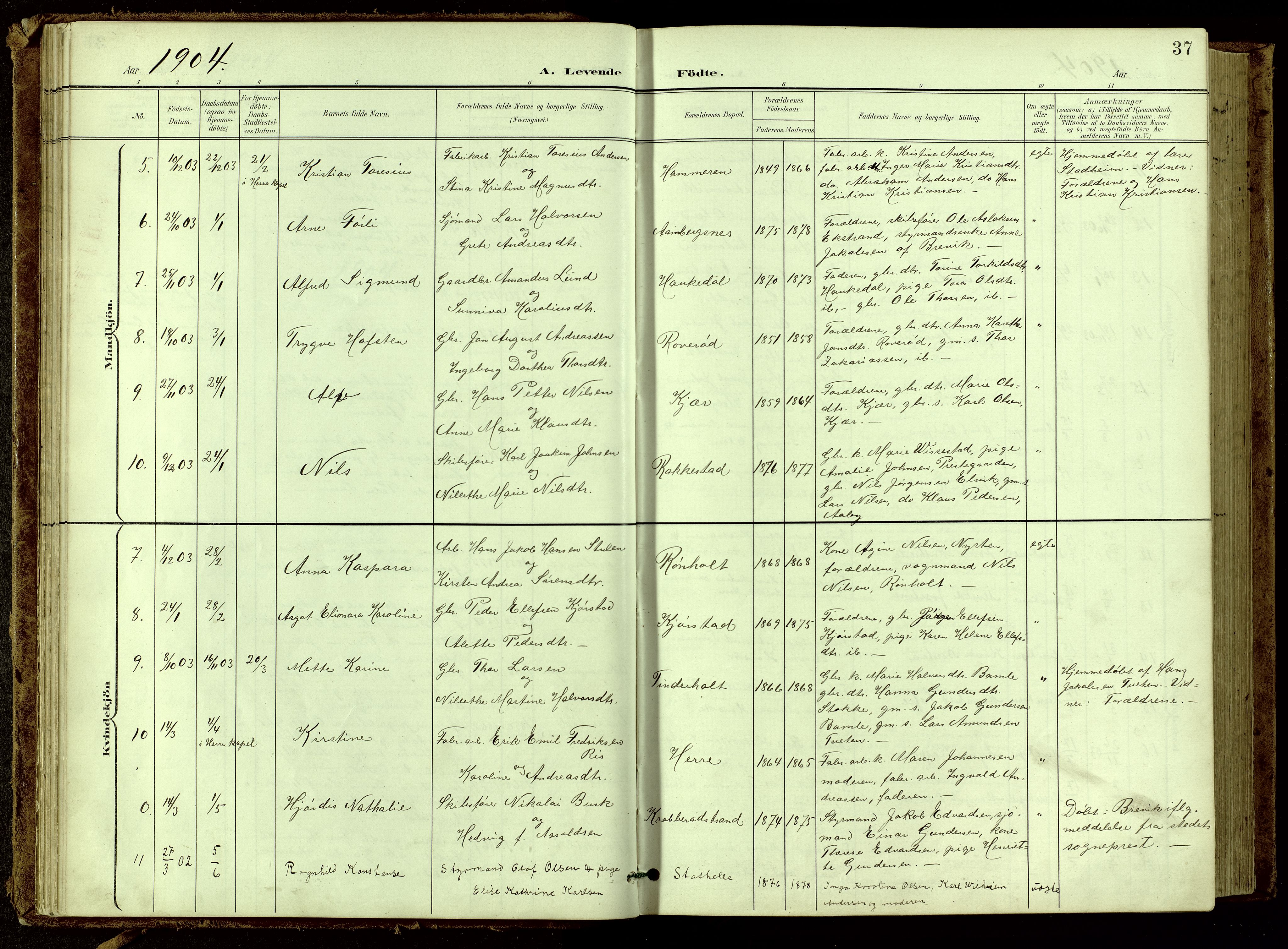 Bamble kirkebøker, SAKO/A-253/G/Ga/L0010: Parish register (copy) no. I 10, 1901-1919, p. 37