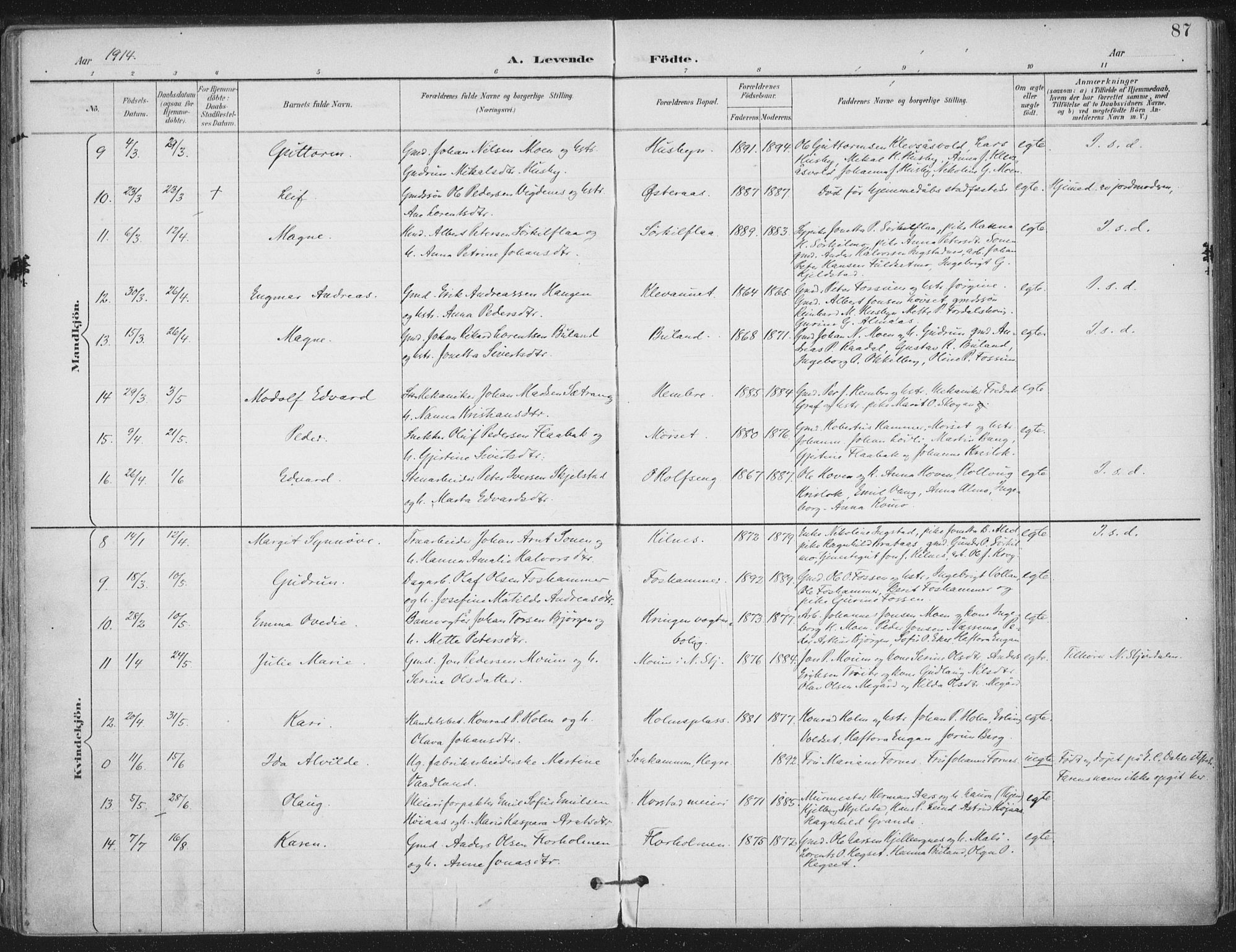 Ministerialprotokoller, klokkerbøker og fødselsregistre - Nord-Trøndelag, AV/SAT-A-1458/703/L0031: Parish register (official) no. 703A04, 1893-1914, p. 87