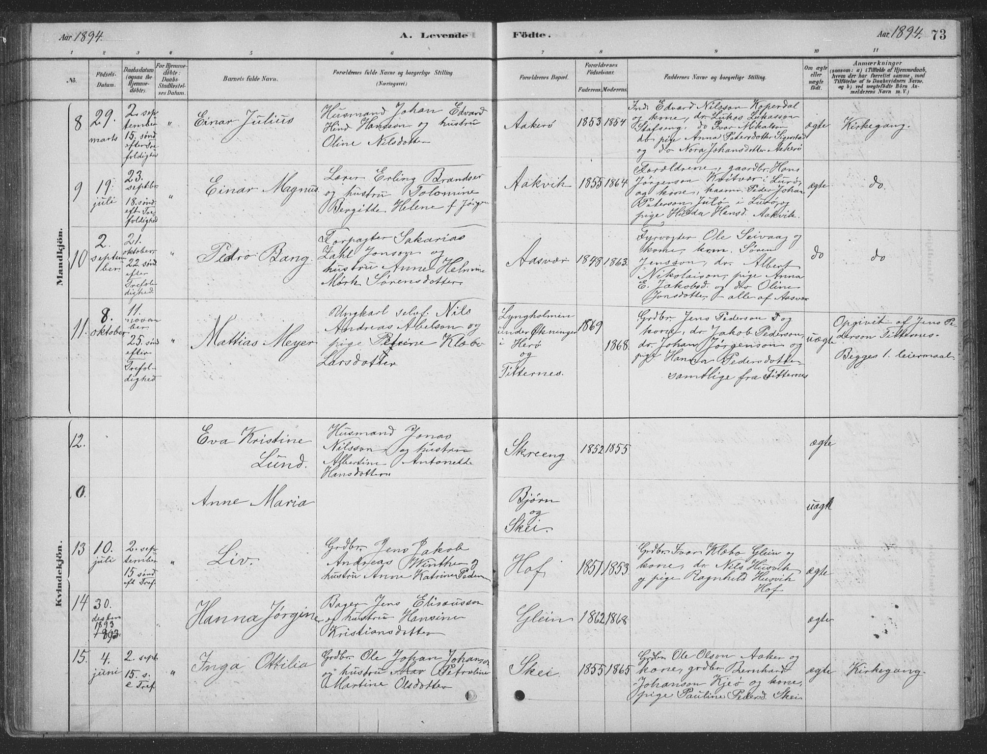 Ministerialprotokoller, klokkerbøker og fødselsregistre - Nordland, AV/SAT-A-1459/835/L0532: Parish register (copy) no. 835C04, 1880-1905, p. 73