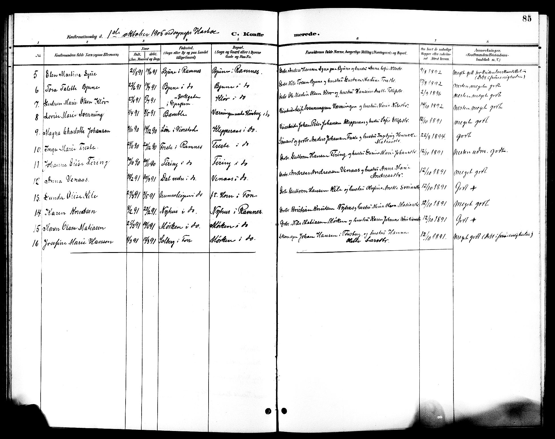 Ramnes kirkebøker, AV/SAKO-A-314/G/Ga/L0004: Parish register (copy) no. I 4, 1896-1911, p. 85