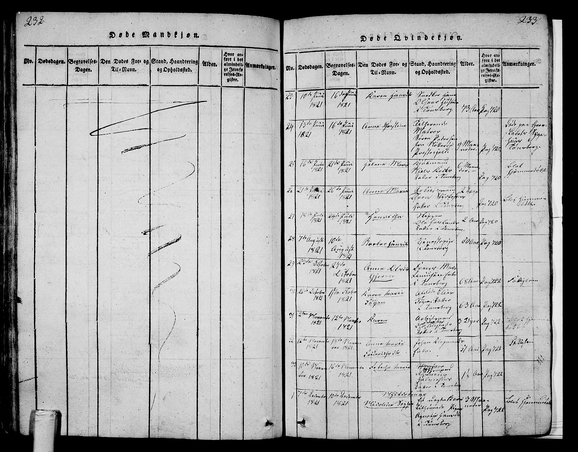 Tønsberg kirkebøker, AV/SAKO-A-330/G/Ga/L0001: Parish register (copy) no. 1, 1813-1826, p. 232-233