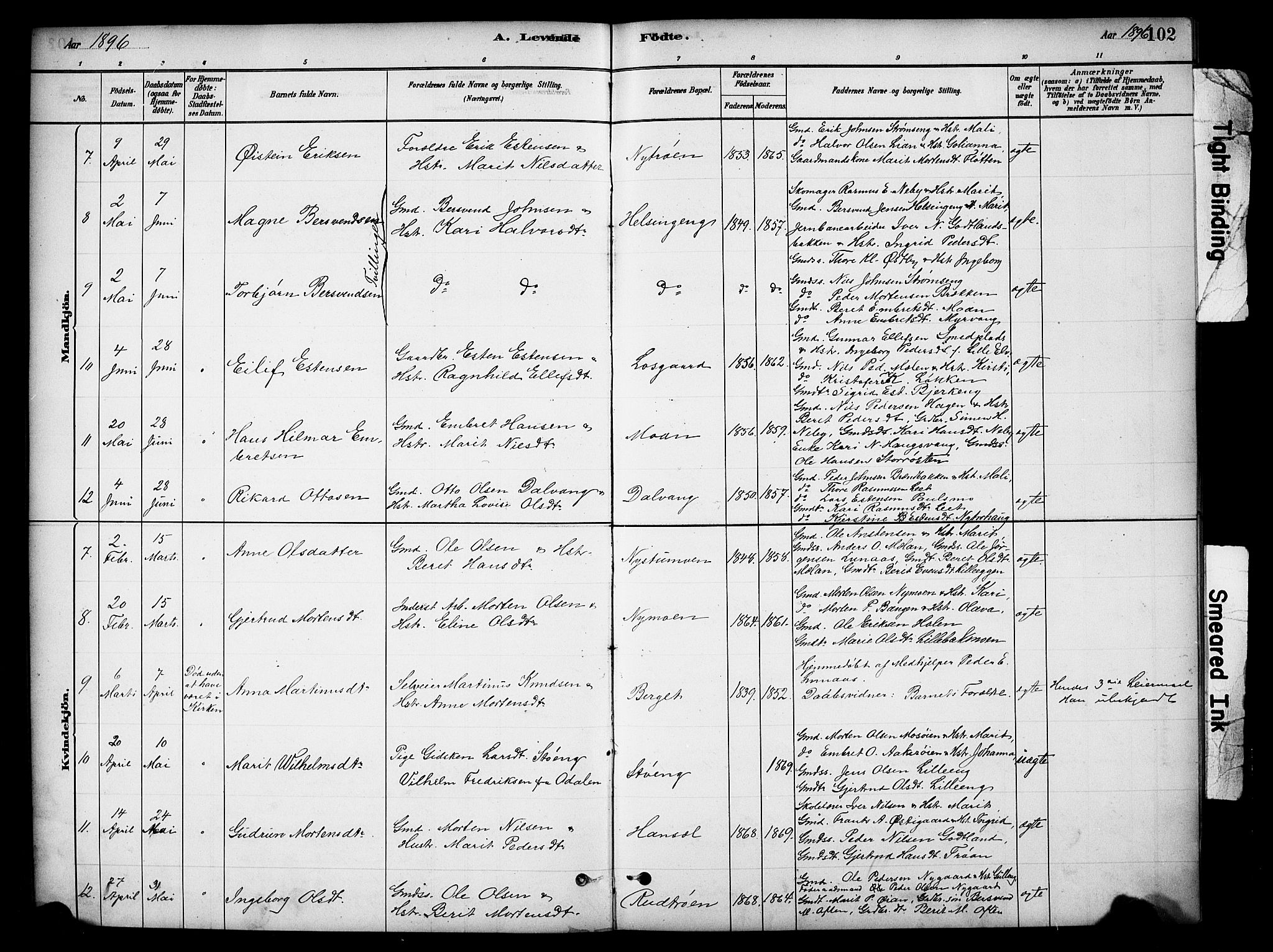 Tynset prestekontor, SAH/PREST-058/H/Ha/Hab/L0006: Parish register (copy) no. 6, 1880-1899, p. 102