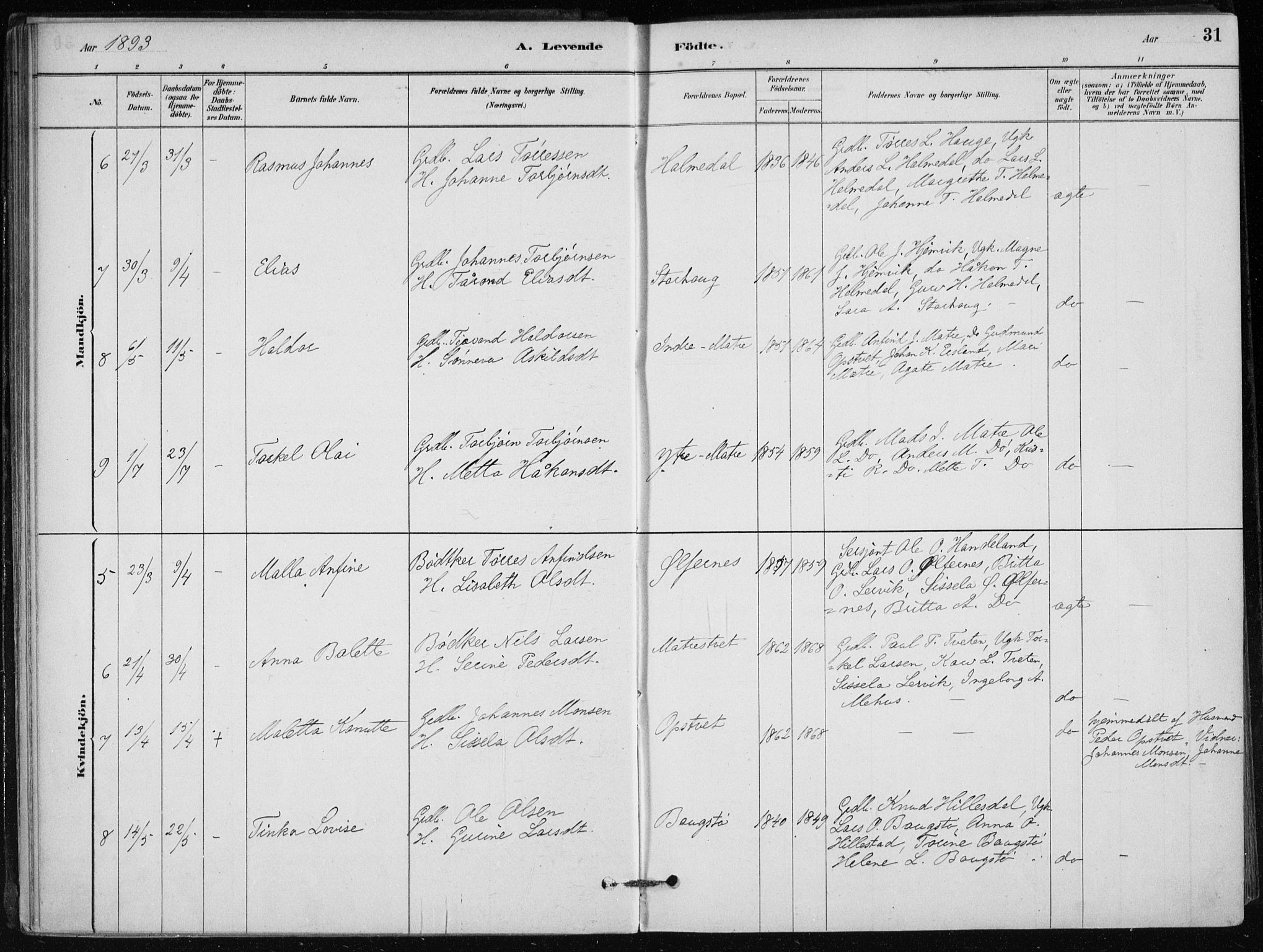 Skånevik sokneprestembete, AV/SAB-A-77801/H/Haa: Parish register (official) no. C  1, 1879-1917, p. 31