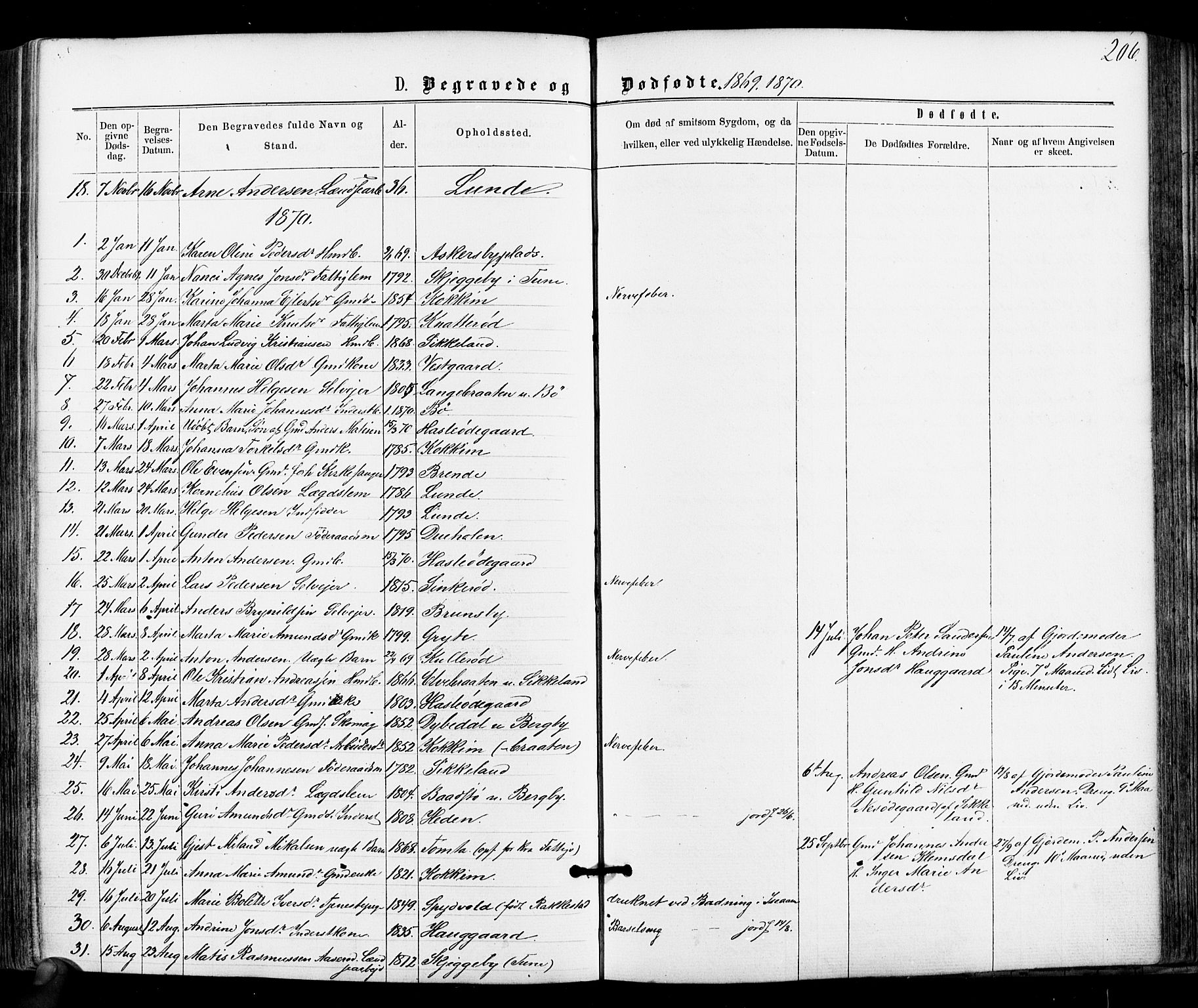 Varteig prestekontor Kirkebøker, SAO/A-10447a/F/Fa/L0001: Parish register (official) no. 1, 1861-1877, p. 206