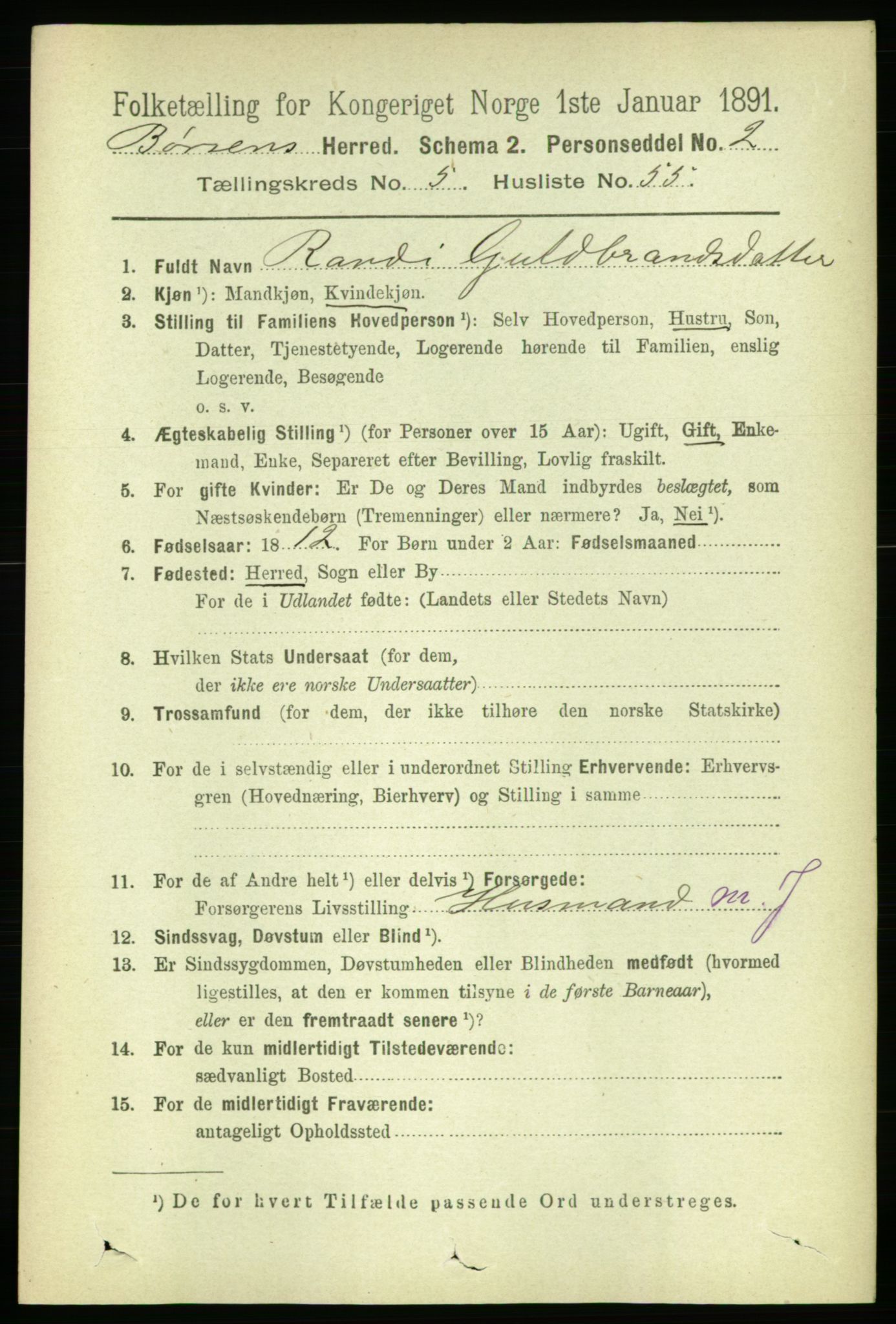 RA, 1891 census for 1658 Børsa, 1891, p. 2303