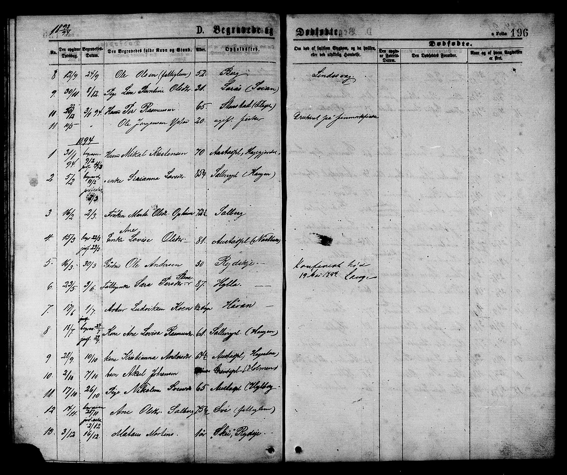 Ministerialprotokoller, klokkerbøker og fødselsregistre - Nord-Trøndelag, SAT/A-1458/731/L0311: Parish register (copy) no. 731C02, 1875-1911, p. 196