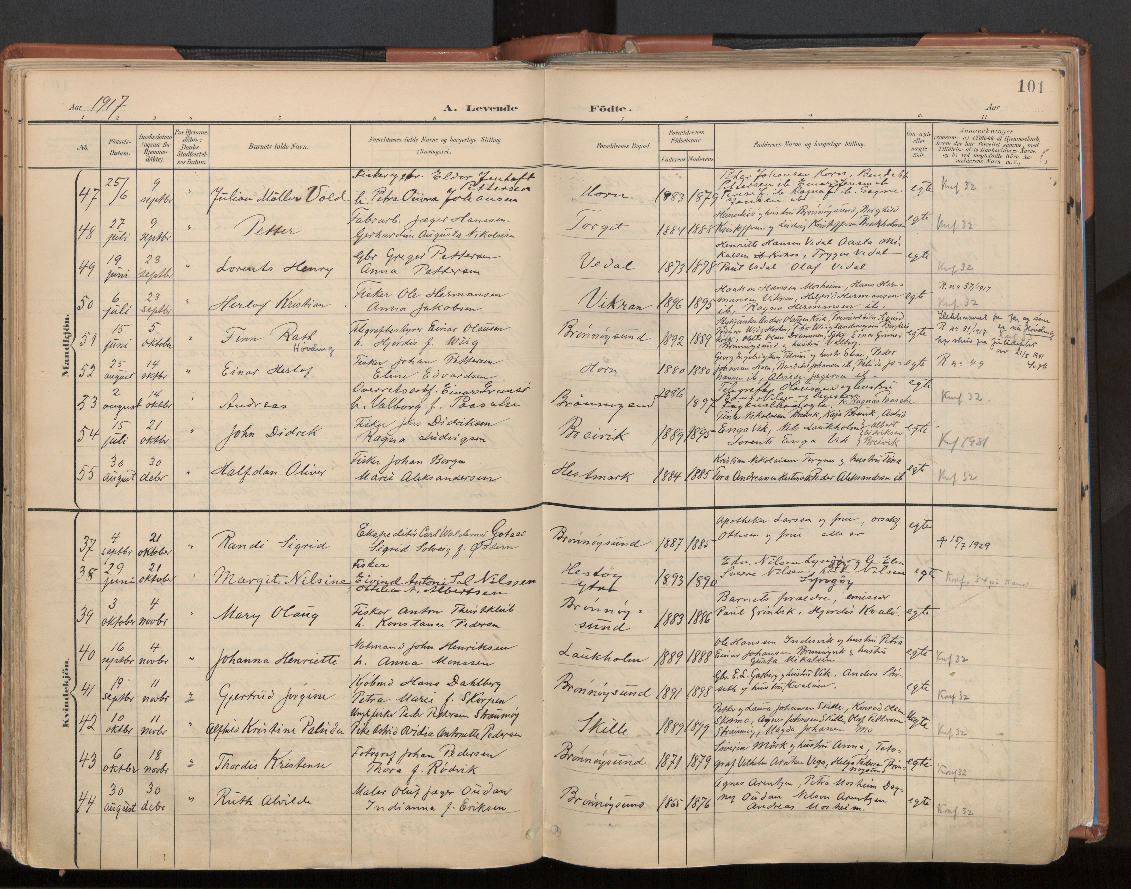 Ministerialprotokoller, klokkerbøker og fødselsregistre - Nordland, AV/SAT-A-1459/813/L0201: Parish register (official) no. 813A11, 1901-1918, p. 101