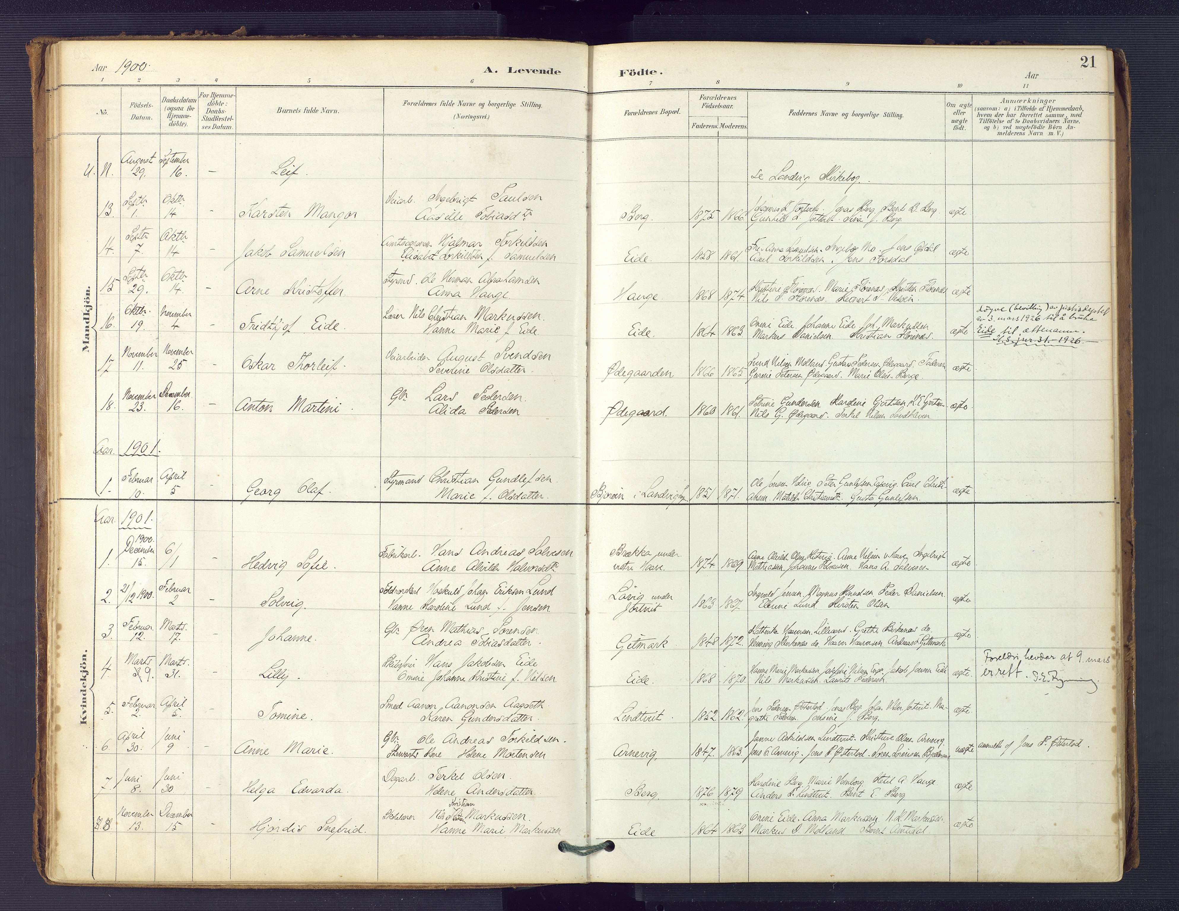 Hommedal sokneprestkontor, SAK/1111-0023/F/Fa/Faa/L0003: Parish register (official) no. A 3, 1885-1916, p. 21