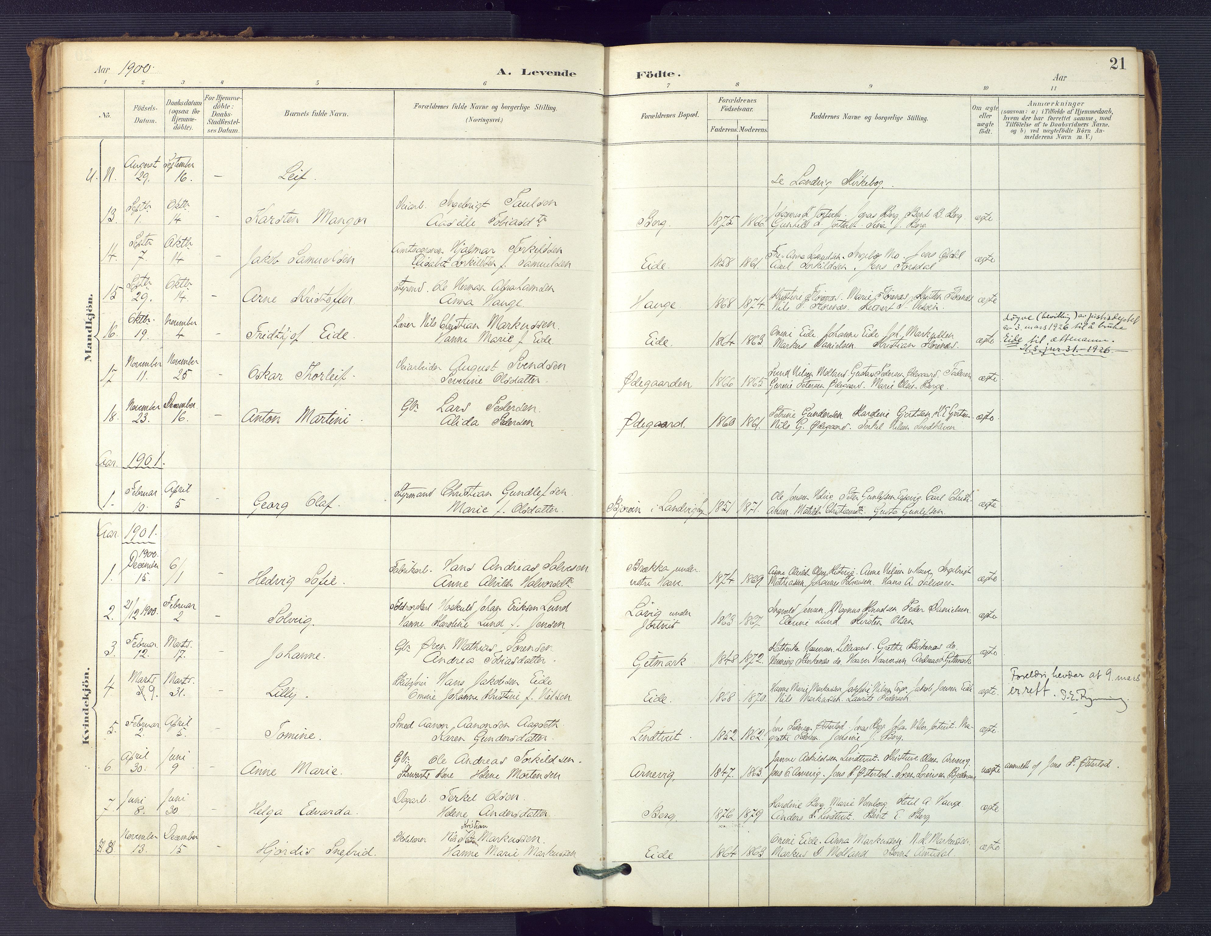 Hommedal sokneprestkontor, AV/SAK-1111-0023/F/Fa/Faa/L0003: Parish register (official) no. A 3, 1885-1916, p. 21