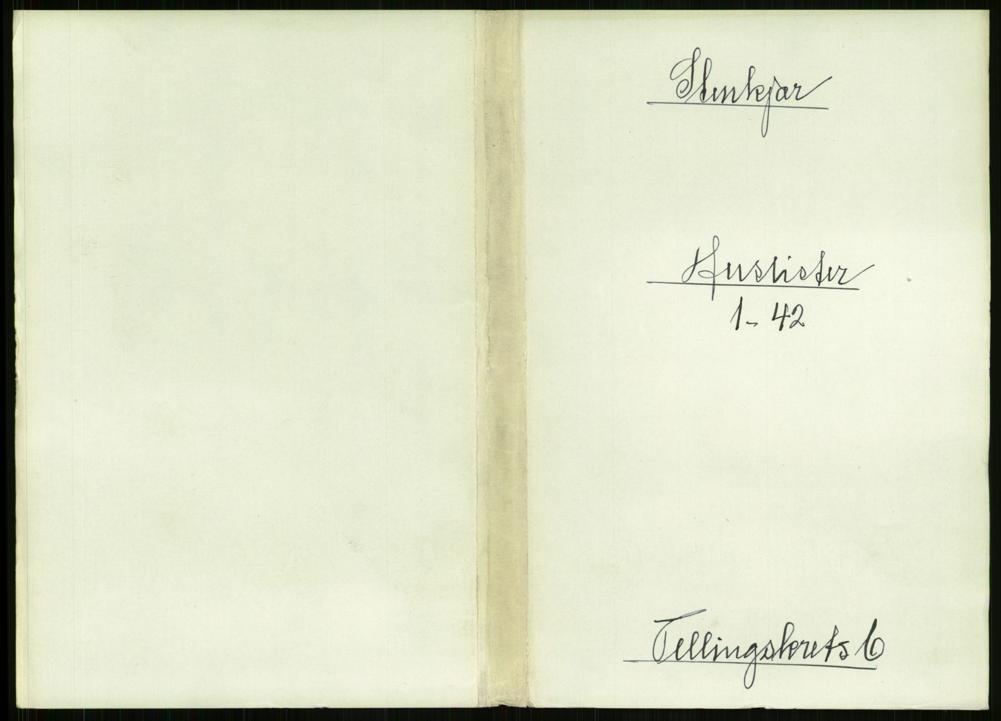 RA, 1891 census for 1702 Steinkjer, 1891, p. 2099