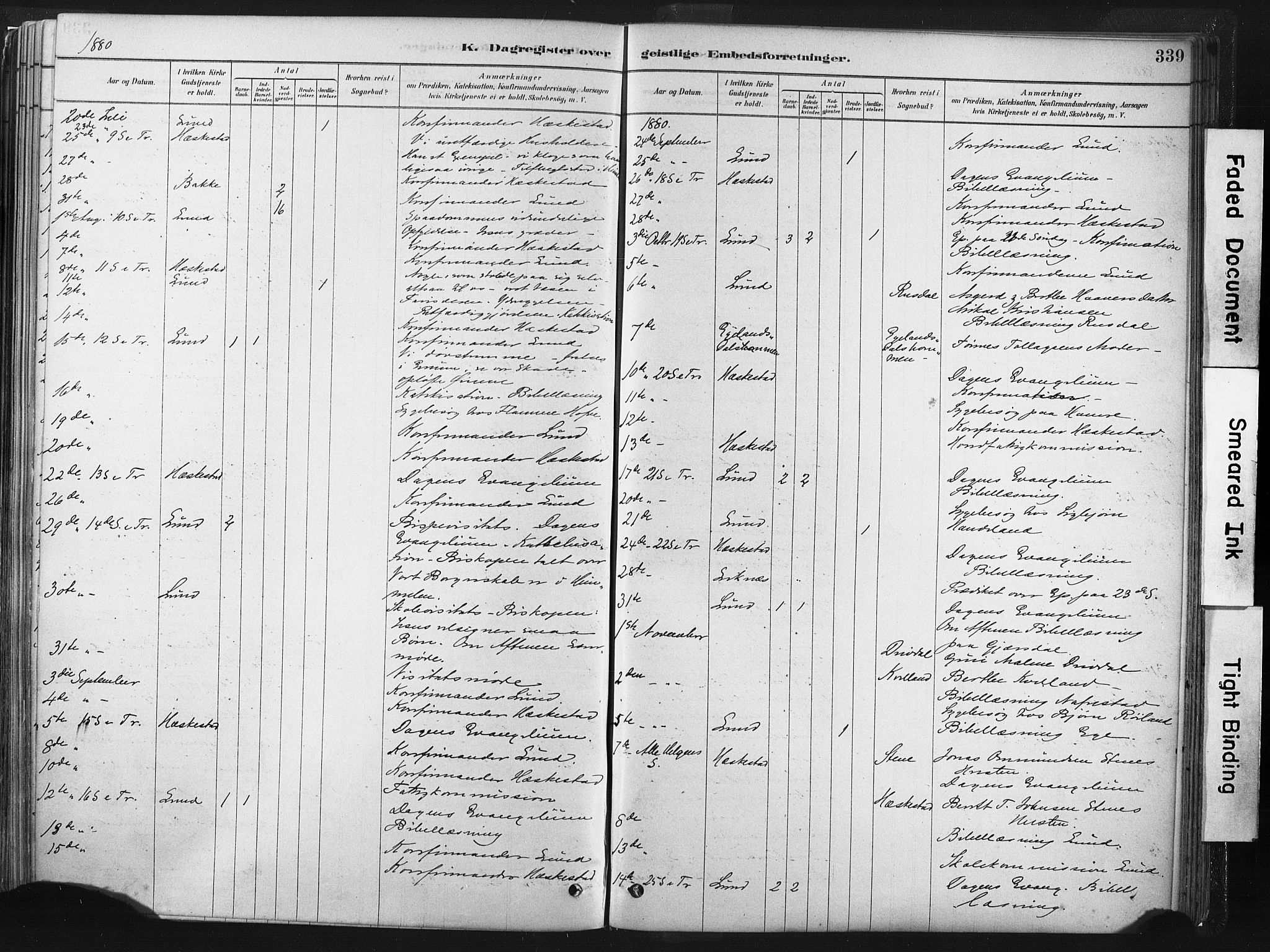 Lund sokneprestkontor, AV/SAST-A-101809/S06/L0011: Parish register (official) no. A 10, 1877-1904, p. 339