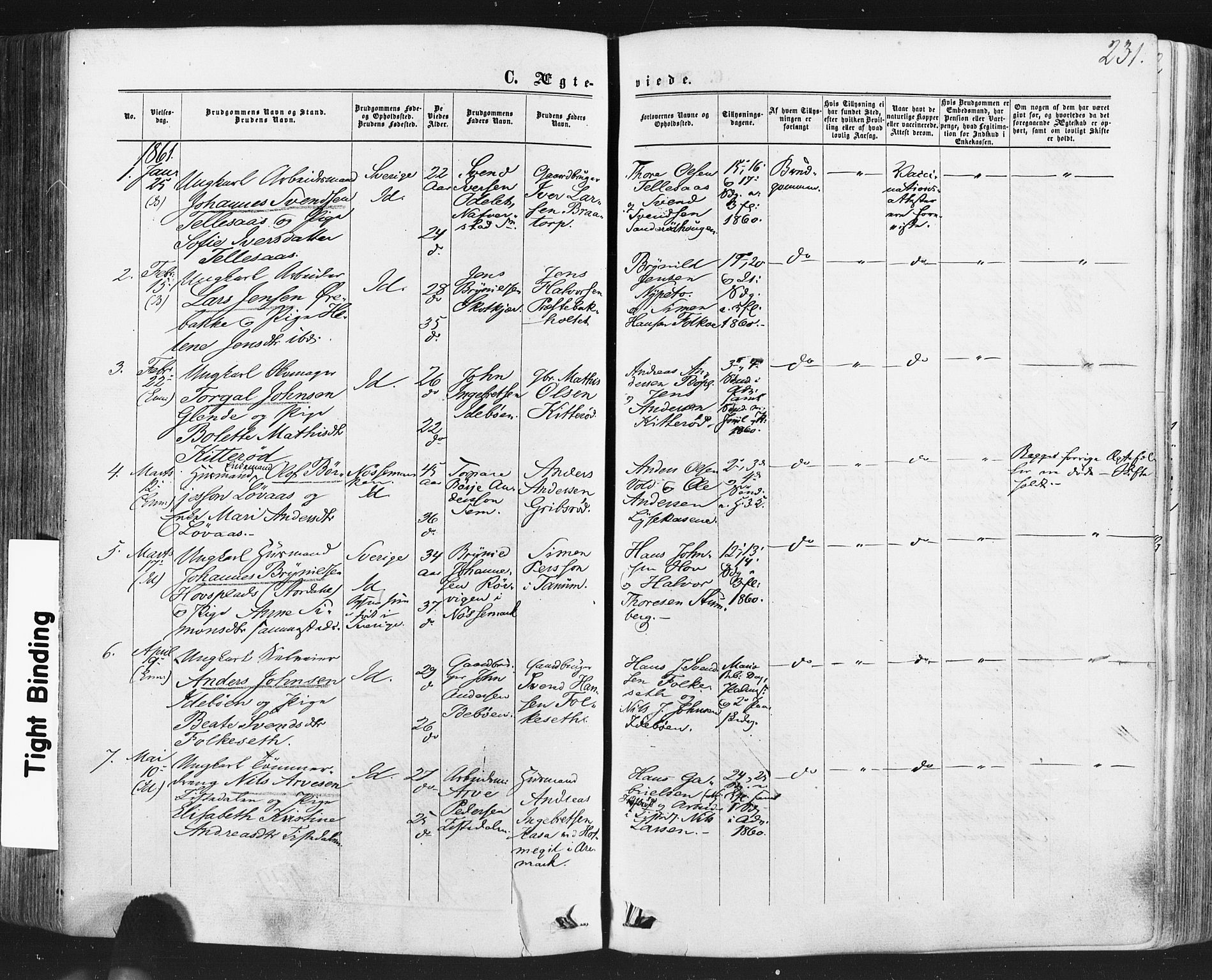 Idd prestekontor Kirkebøker, SAO/A-10911/F/Fc/L0005: Parish register (official) no. III 5, 1861-1877, p. 231