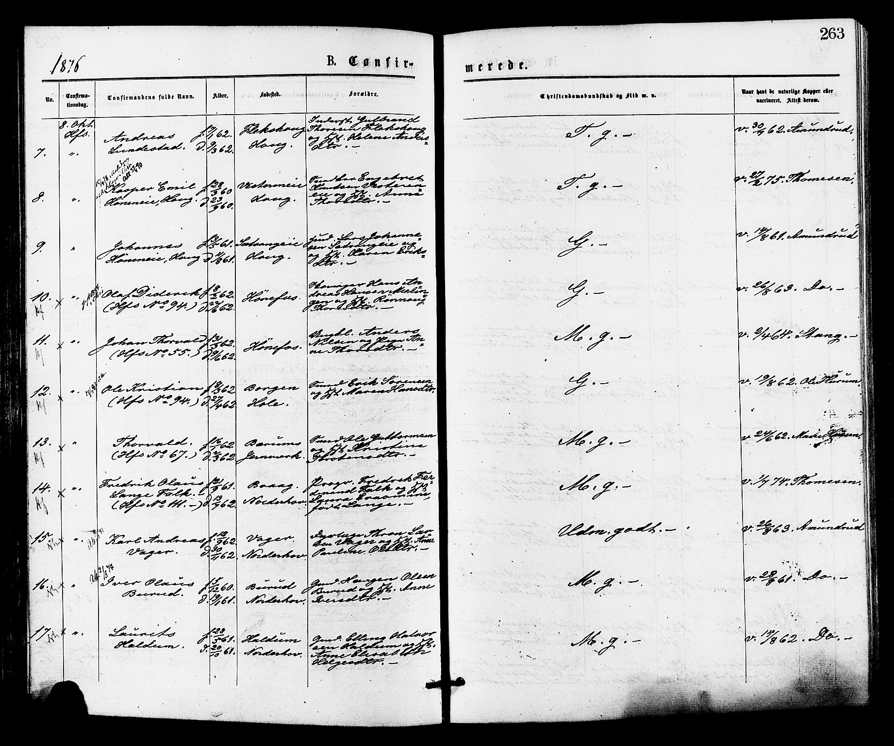 Norderhov kirkebøker, SAKO/A-237/F/Fa/L0015: Parish register (official) no. 15, 1875-1884, p. 263