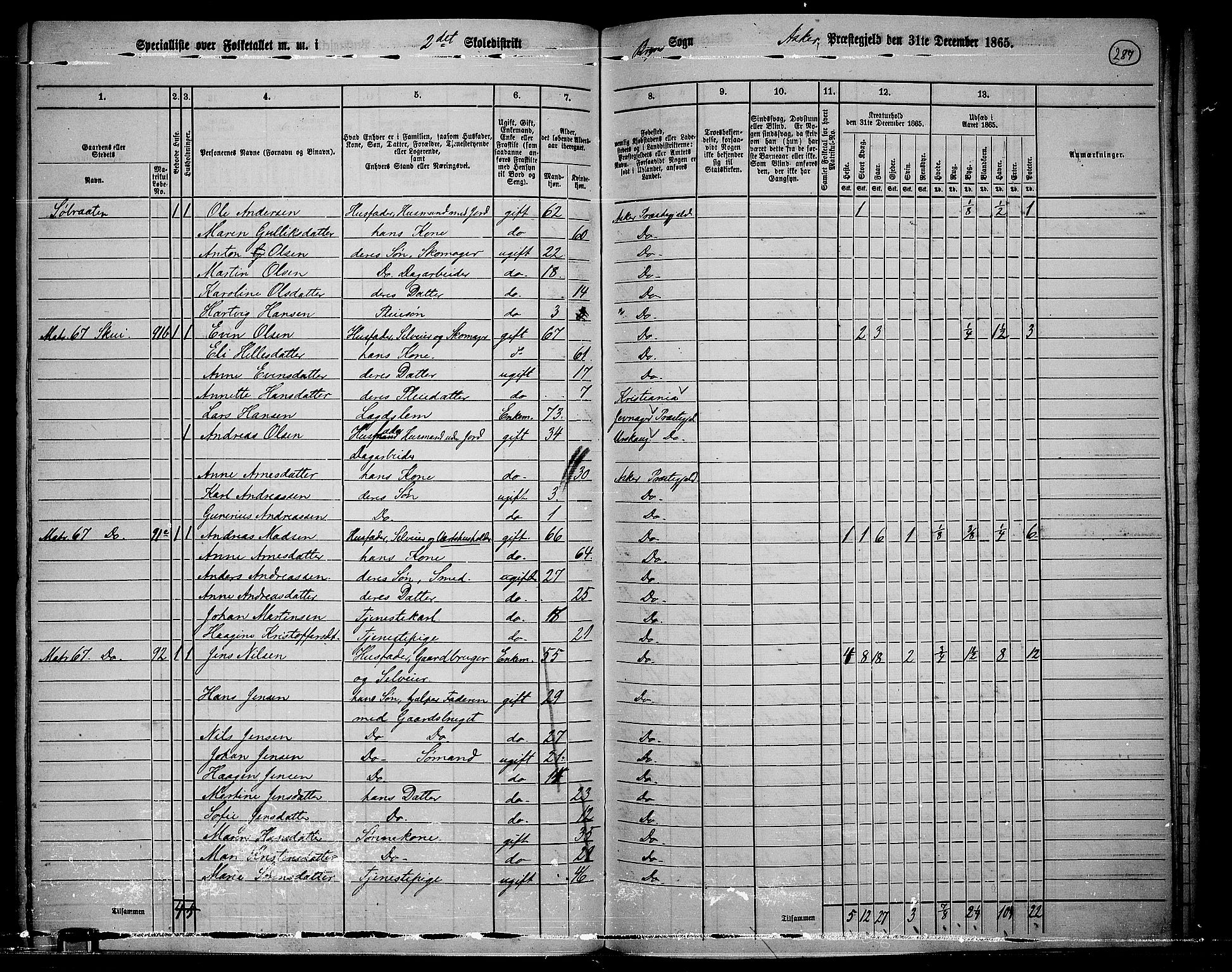 RA, 1865 census for Asker, 1865, p. 276