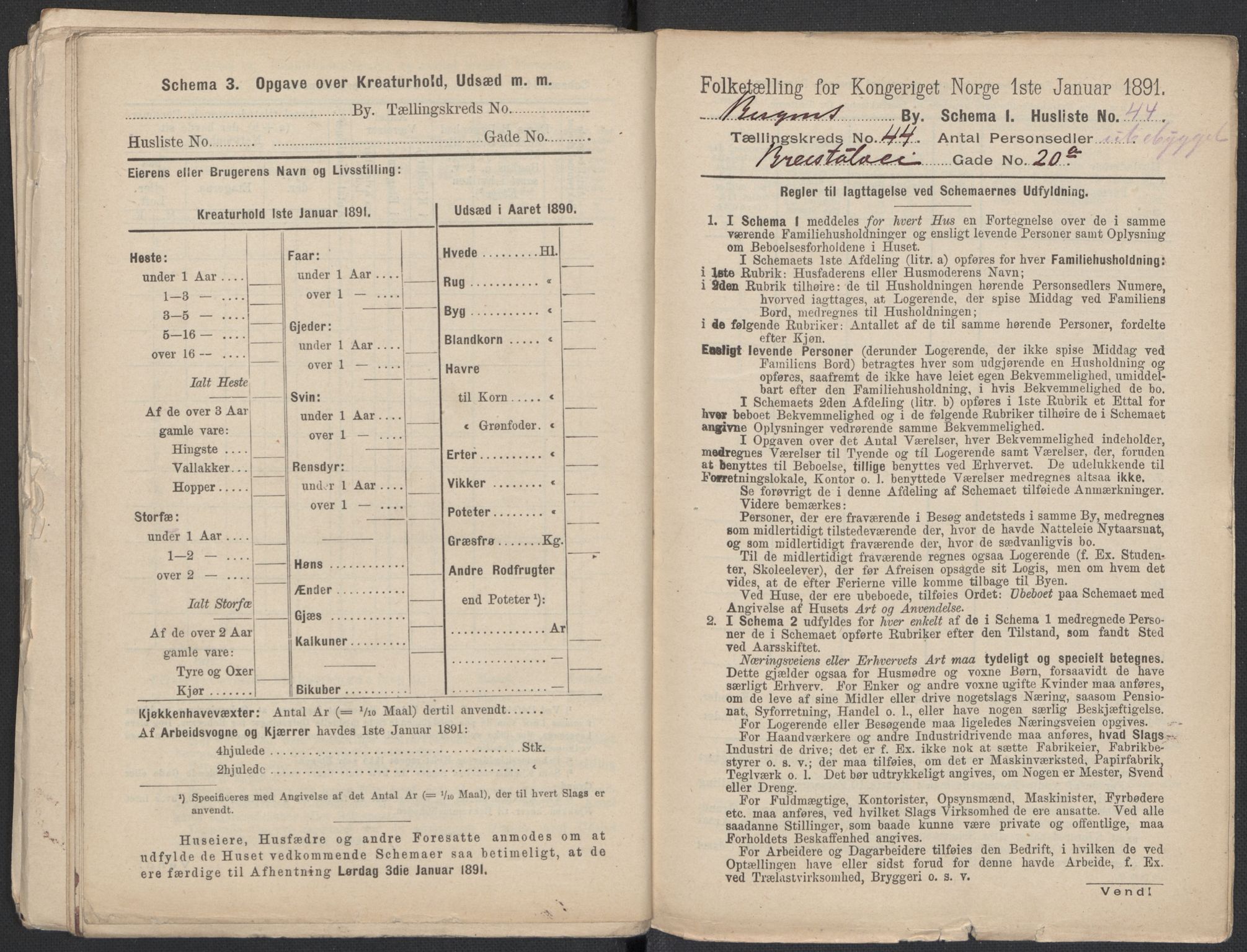 RA, 1891 Census for 1301 Bergen, 1891, p. 7419