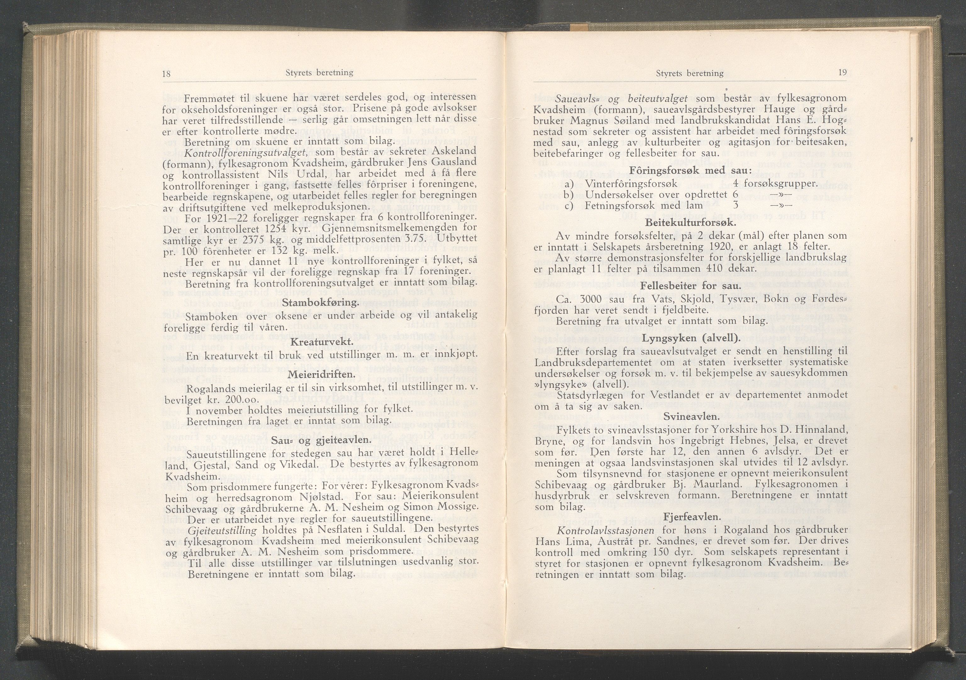 Rogaland fylkeskommune - Fylkesrådmannen , IKAR/A-900/A/Aa/Aaa/L0042: Møtebok , 1923, p. 18-19