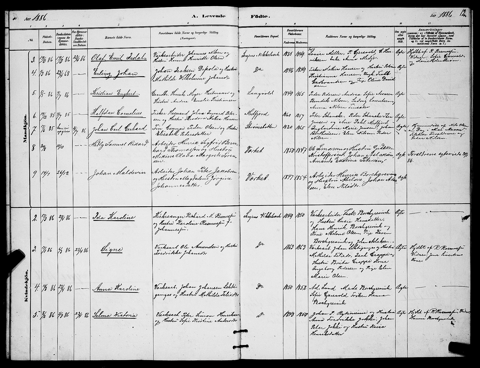 Berg sokneprestkontor, SATØ/S-1318/G/Ga/Gab/L0017klokker: Parish register (copy) no. 17, 1881-1887, p. 12